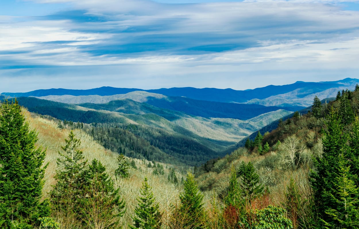 Scenic view of the lush green Great Smoky Mountains under a dynamic sky in Tennessee.