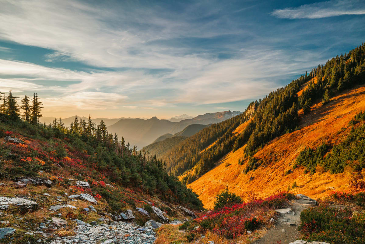 Sunset over a serene Washington trail with lush greenery and autumn colors in the mountainside.