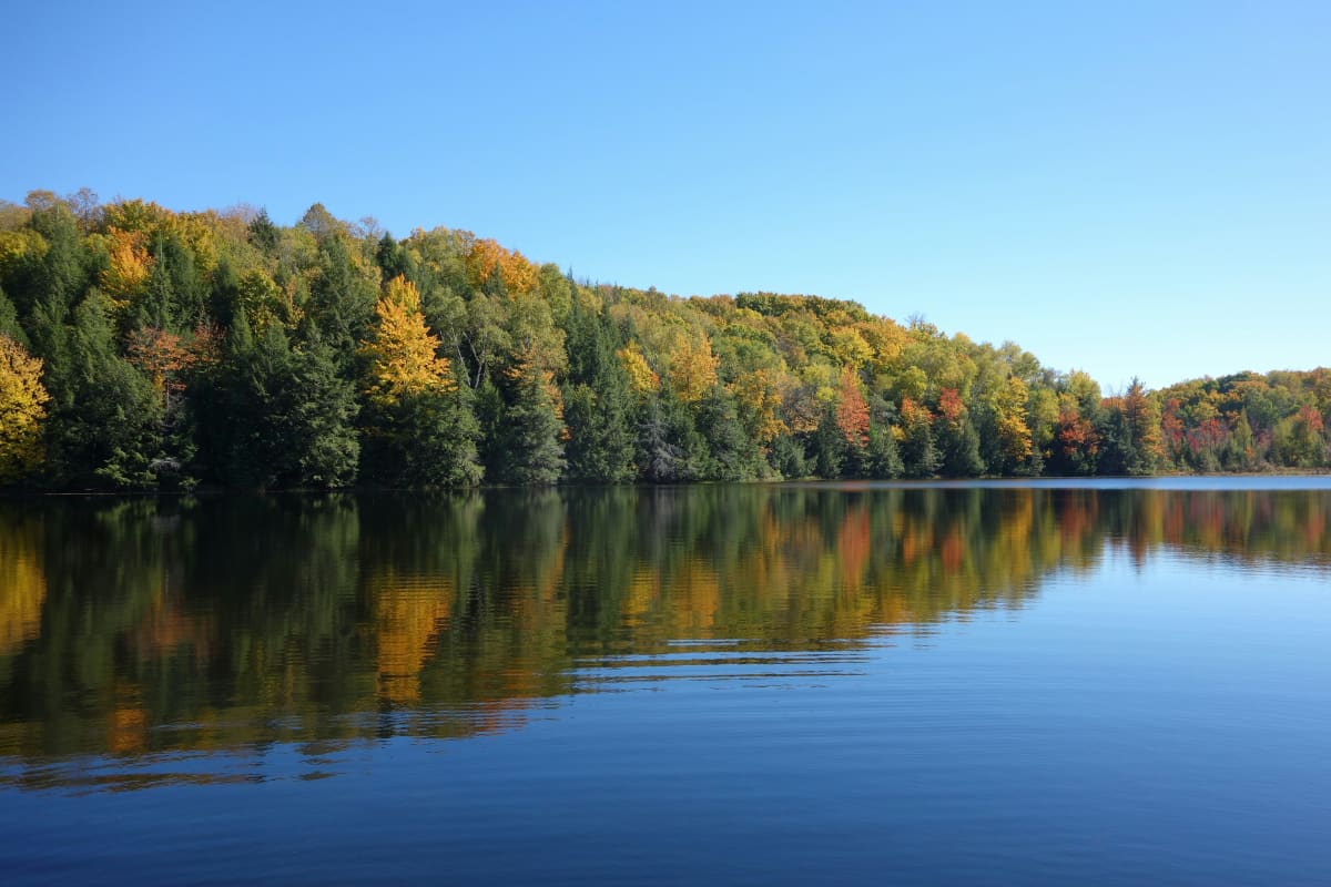 Tranquil Wisconsin lake with autumn-colored trees reflecting on water, perfect for peaceful outdoor adventures.