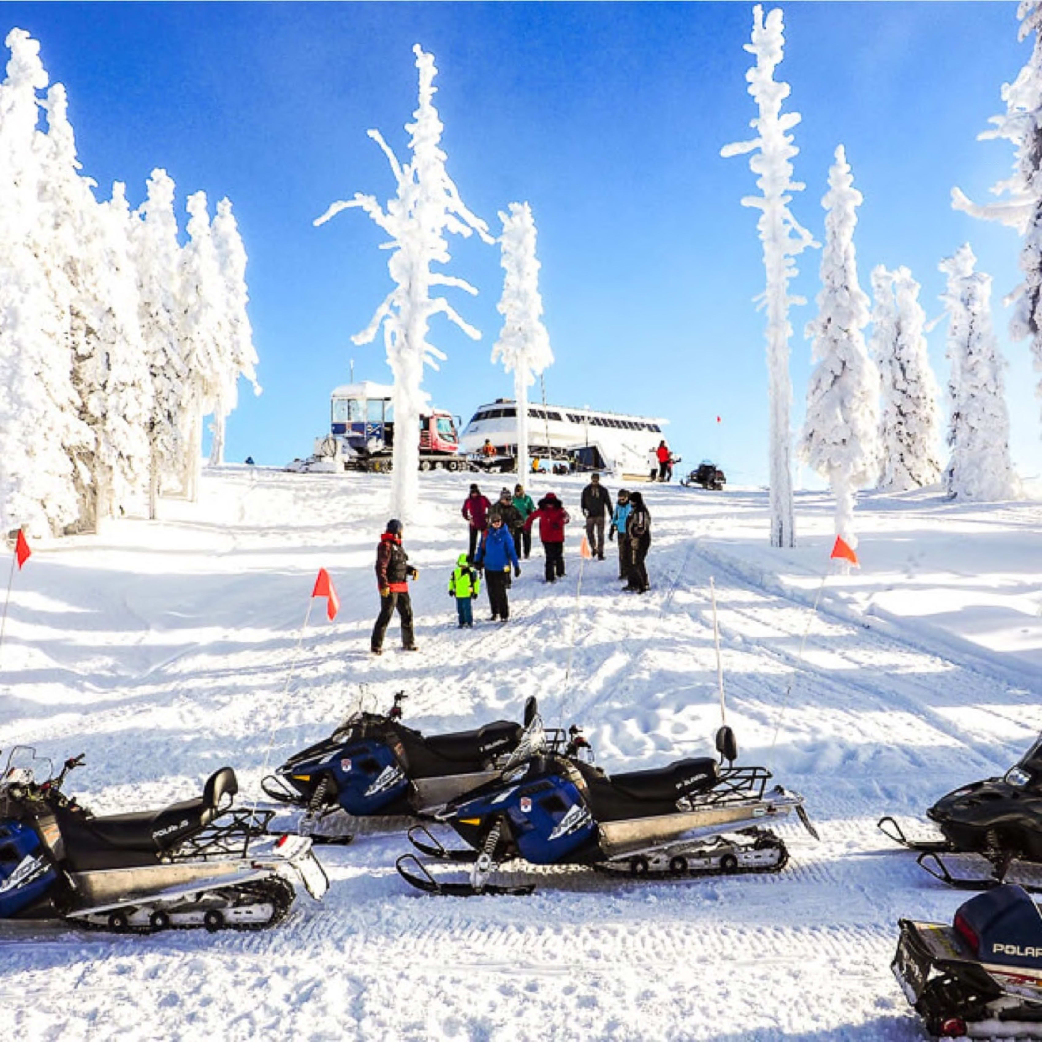 Snowmobilers and Polaris snowmobiles on a snow-covered landscape with frosted trees.