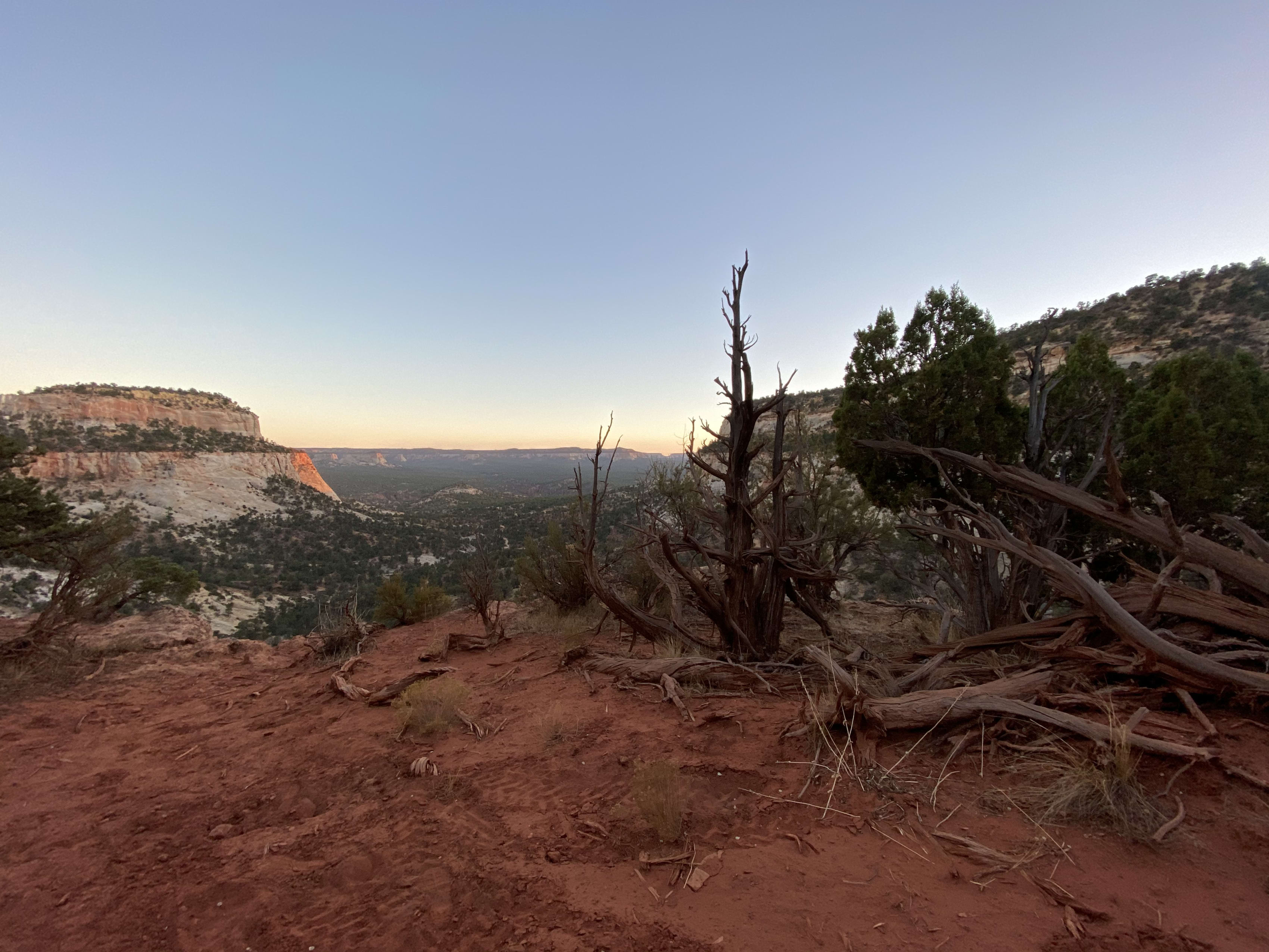Red sand near Kanab, Utah