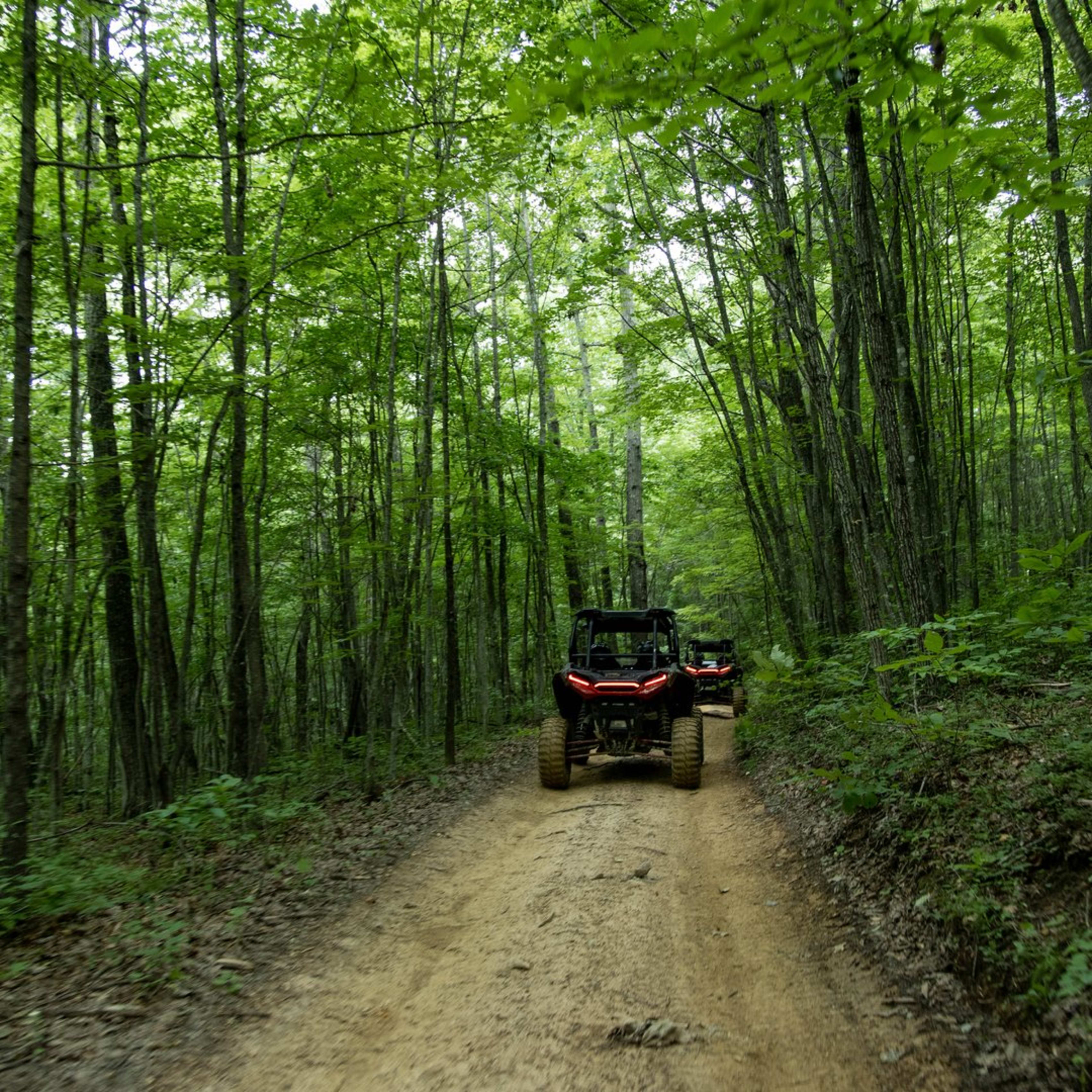 Trailhead Adventures - Buffalo Trail - WV
