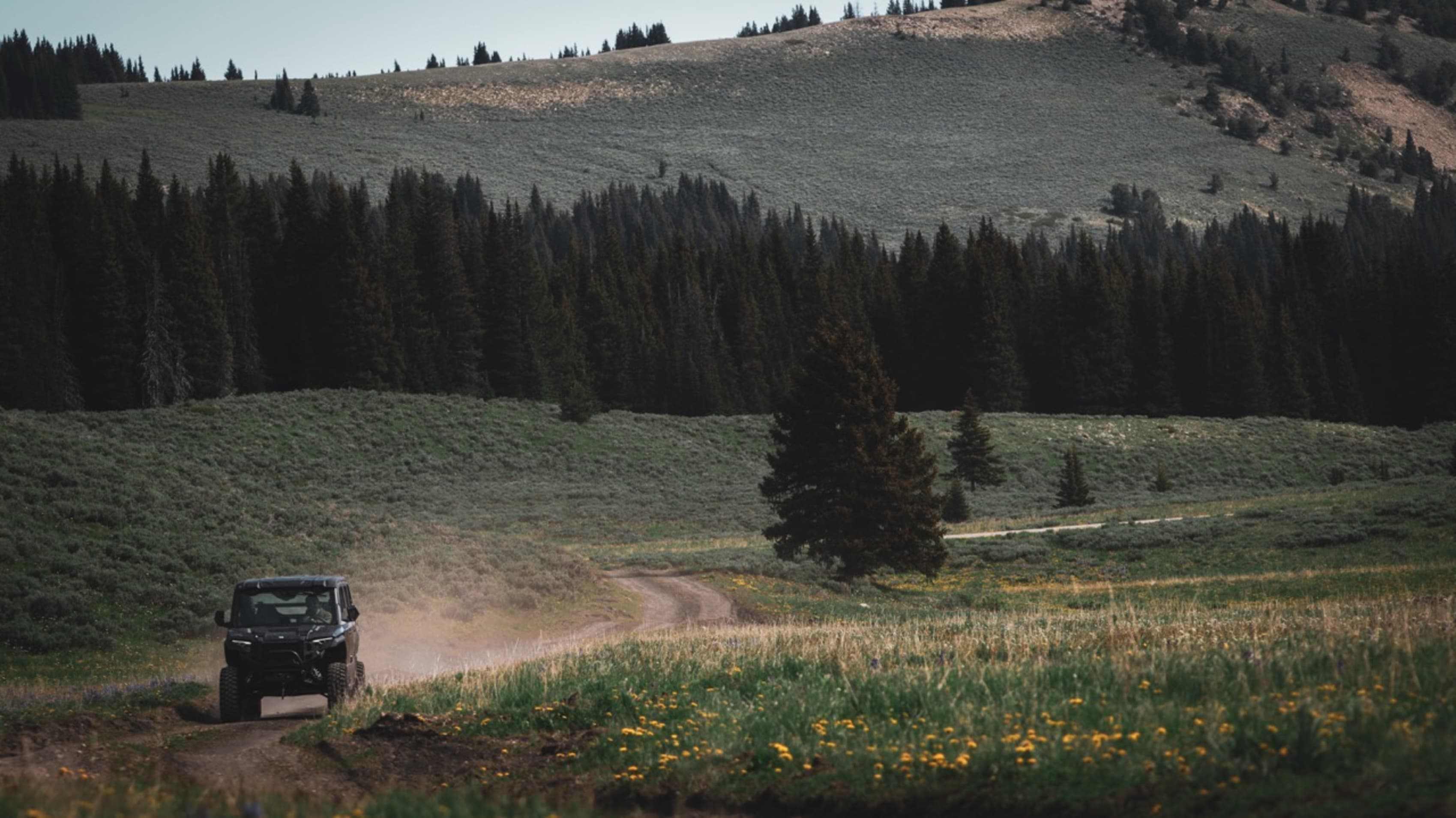 Bear Lodge Resort