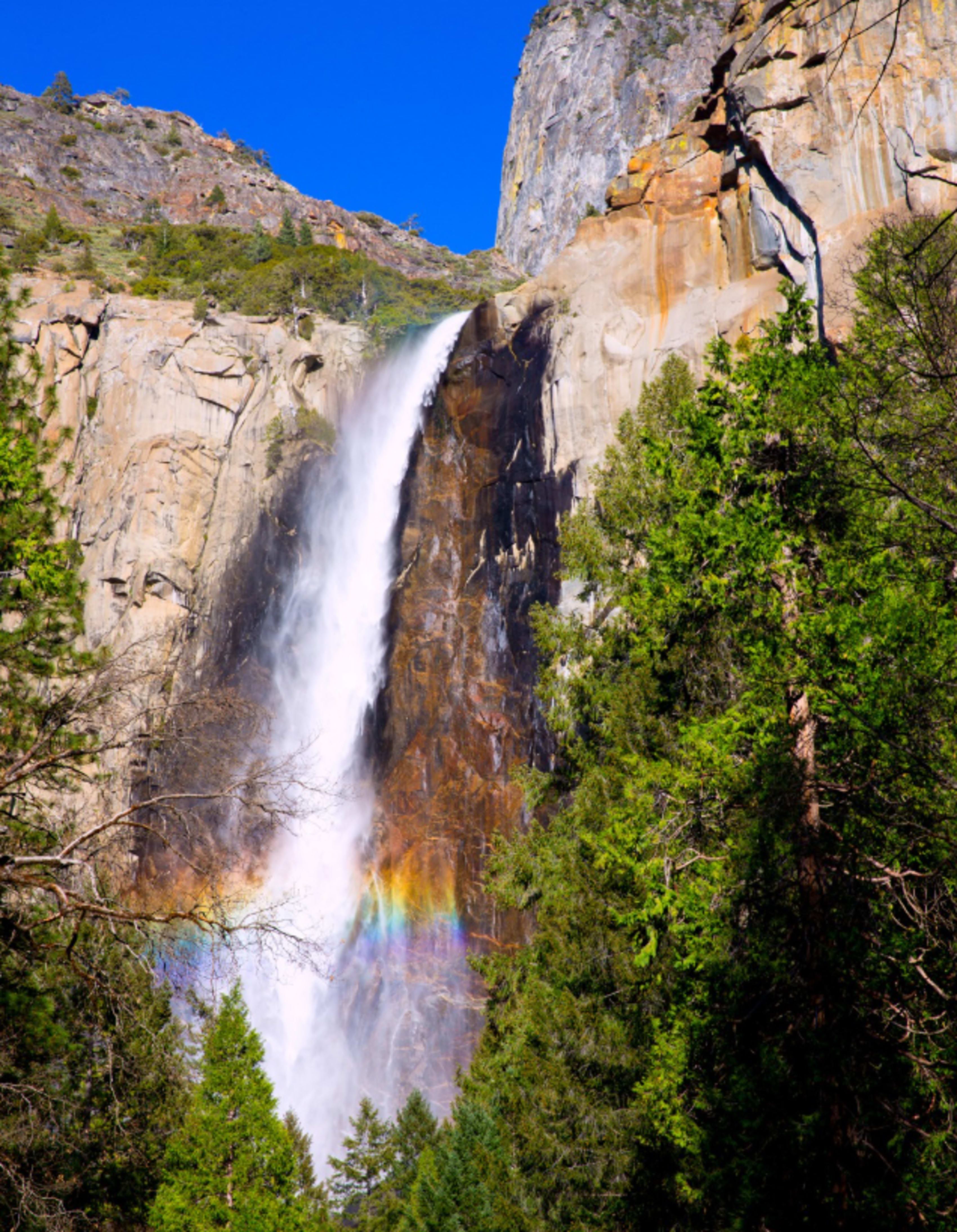 Yosemite Adventure Company