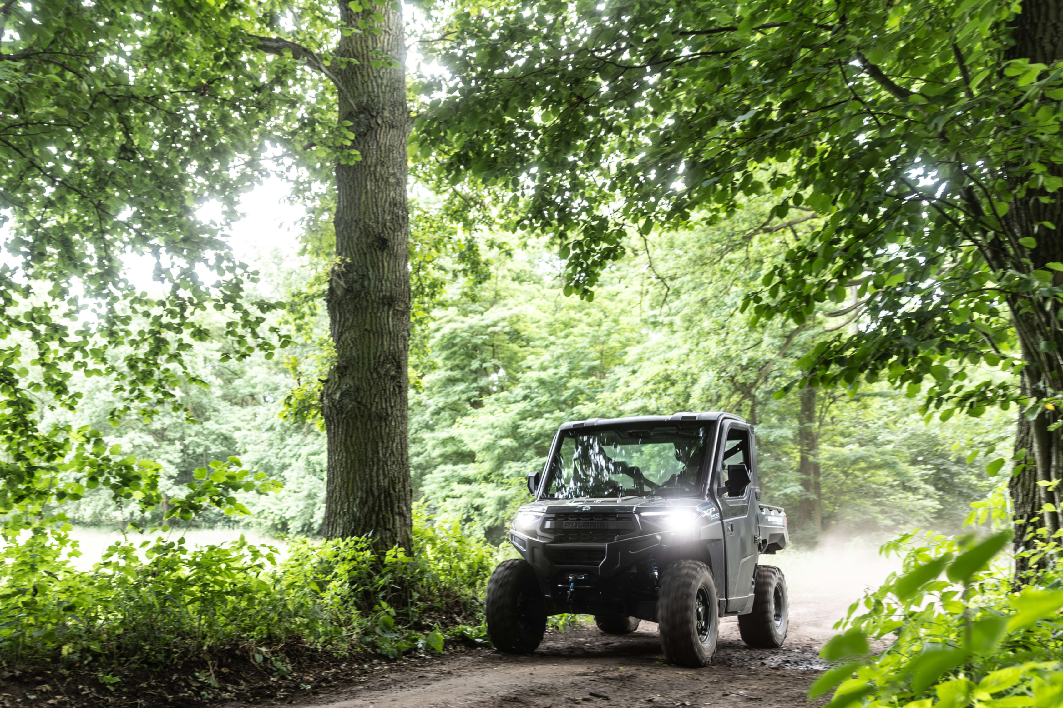 White Mt ATV Rentals by Northeast