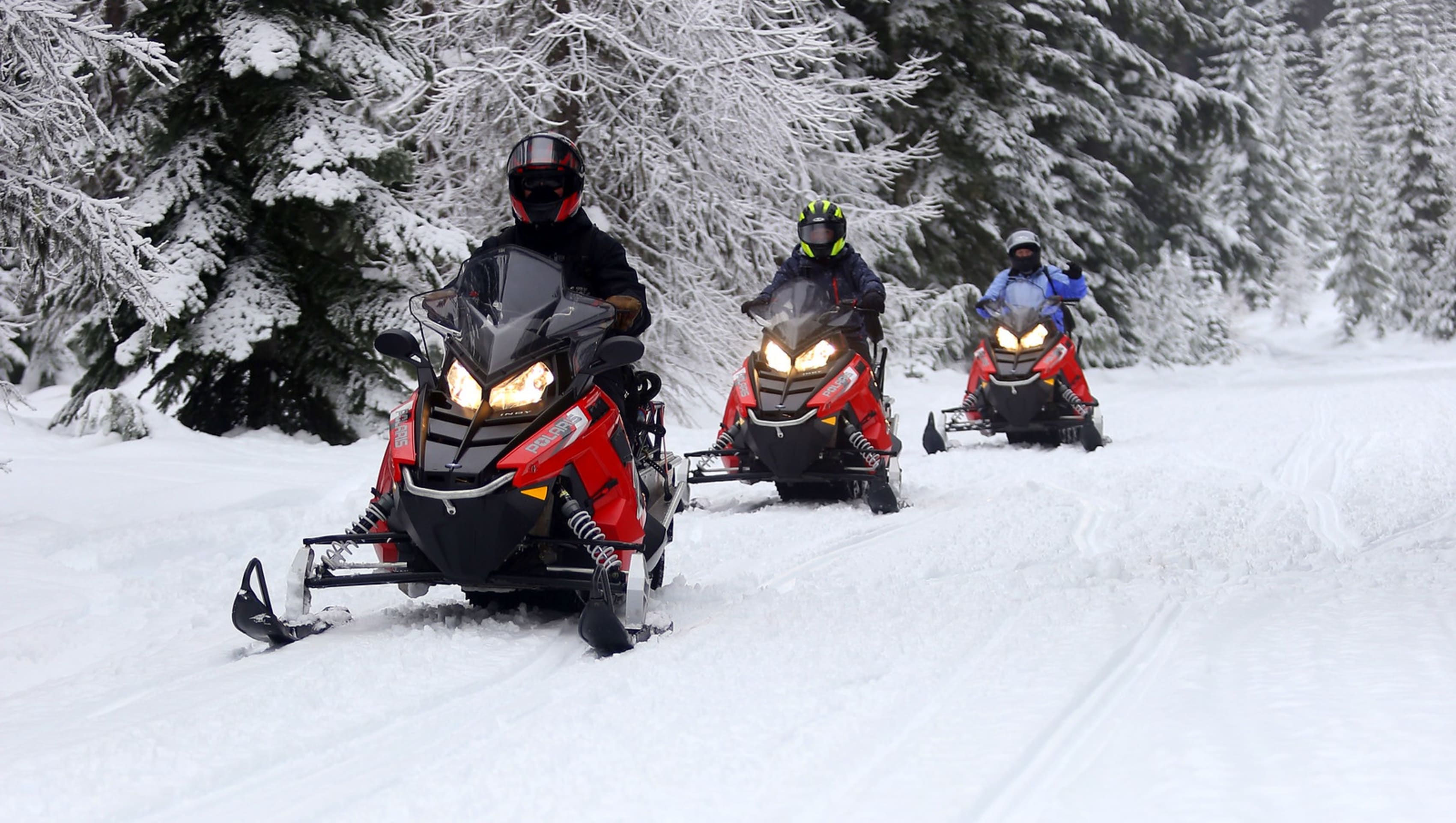 Mt. Hood Outfitters