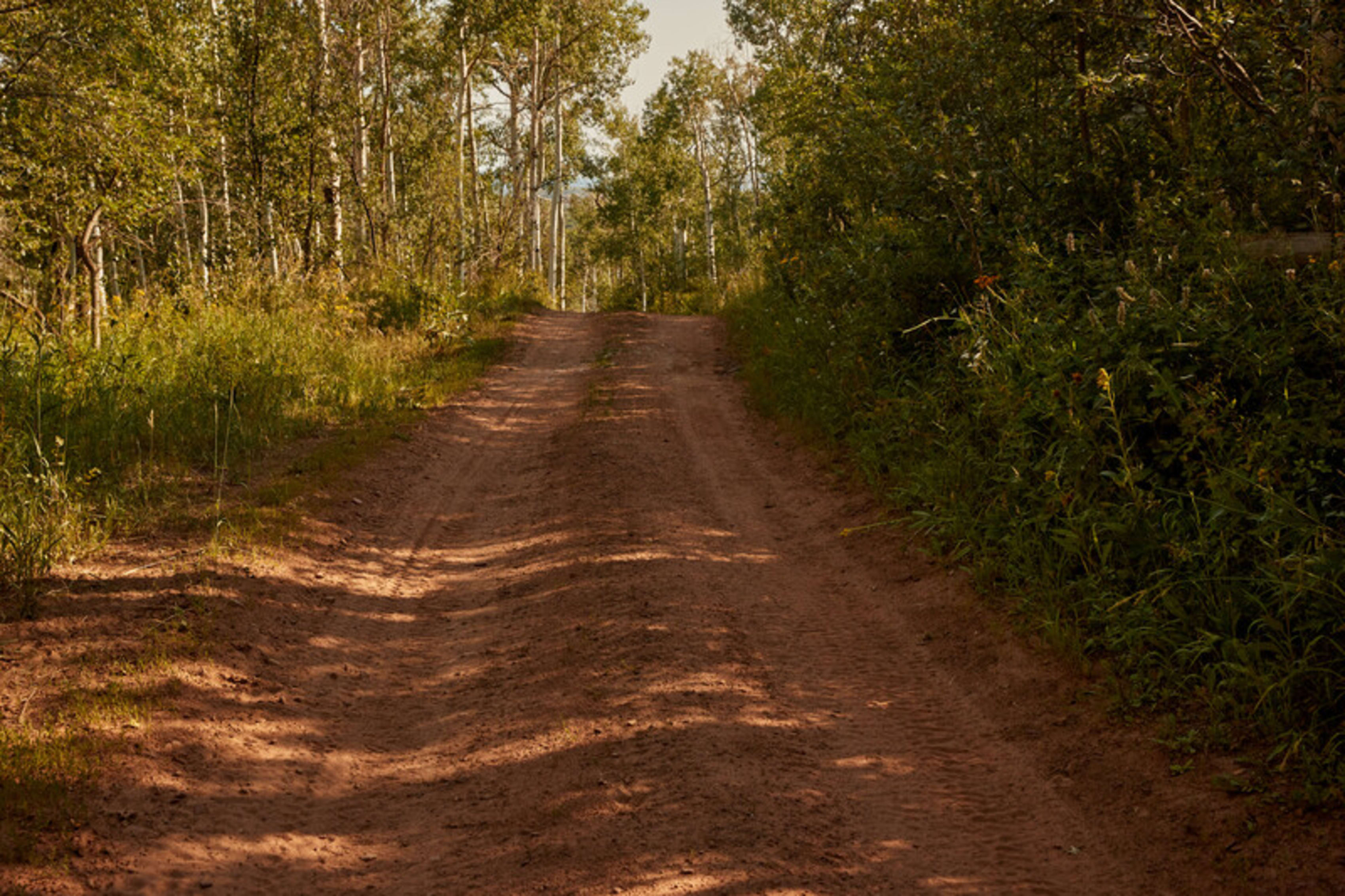 Georgia Offroad Rentals
