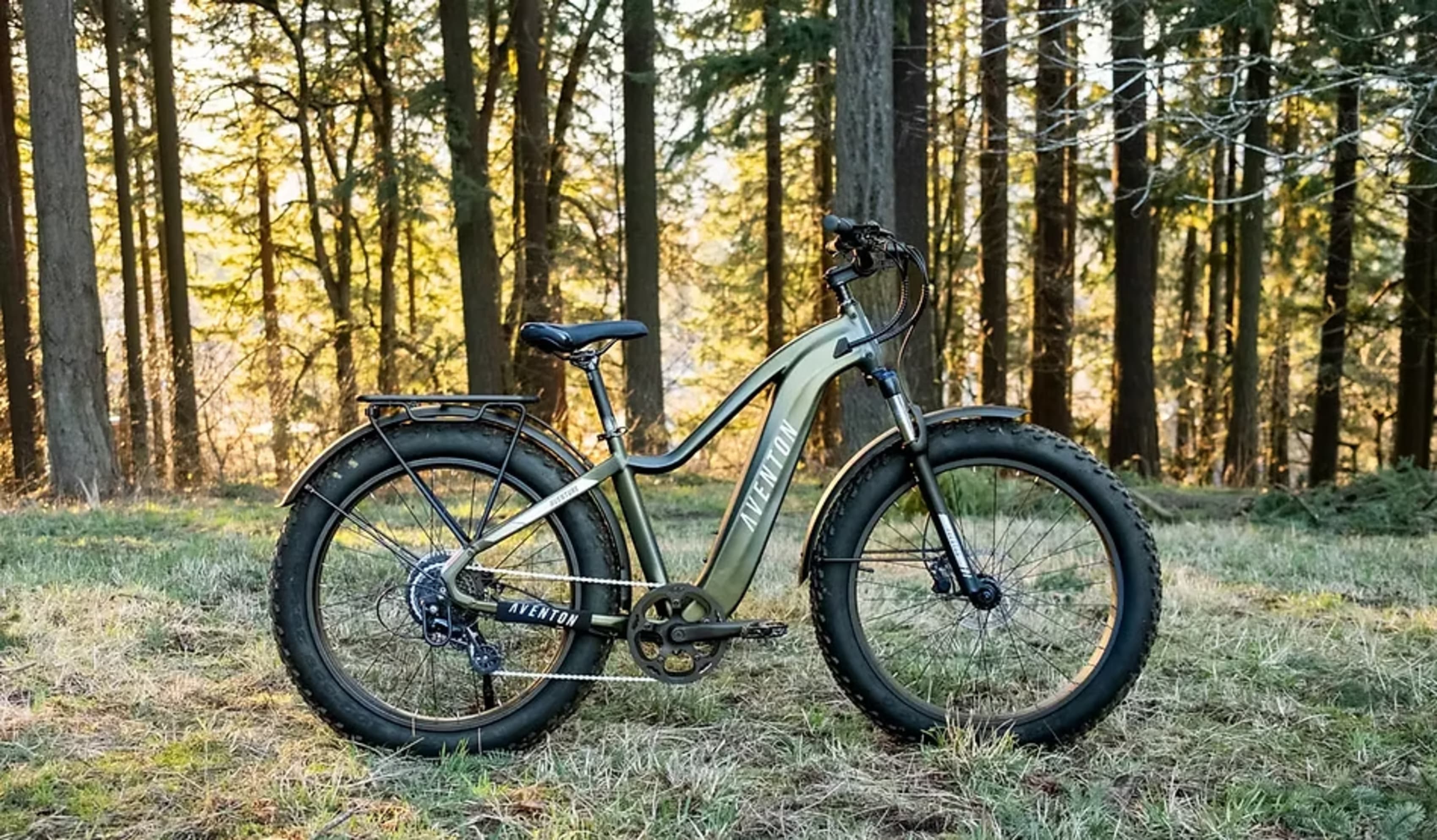Aventon E-Bike