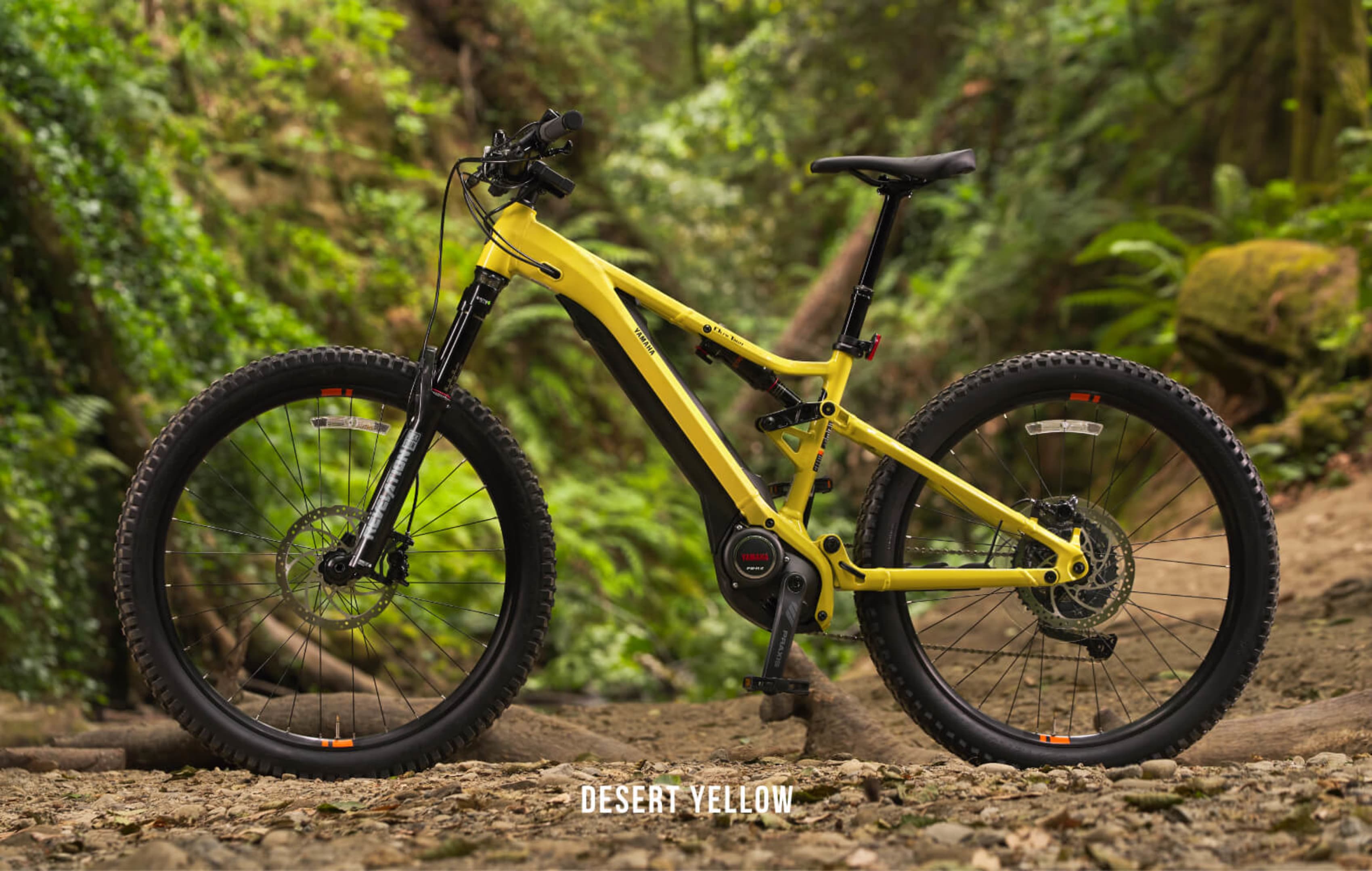 Mountain E-Bike