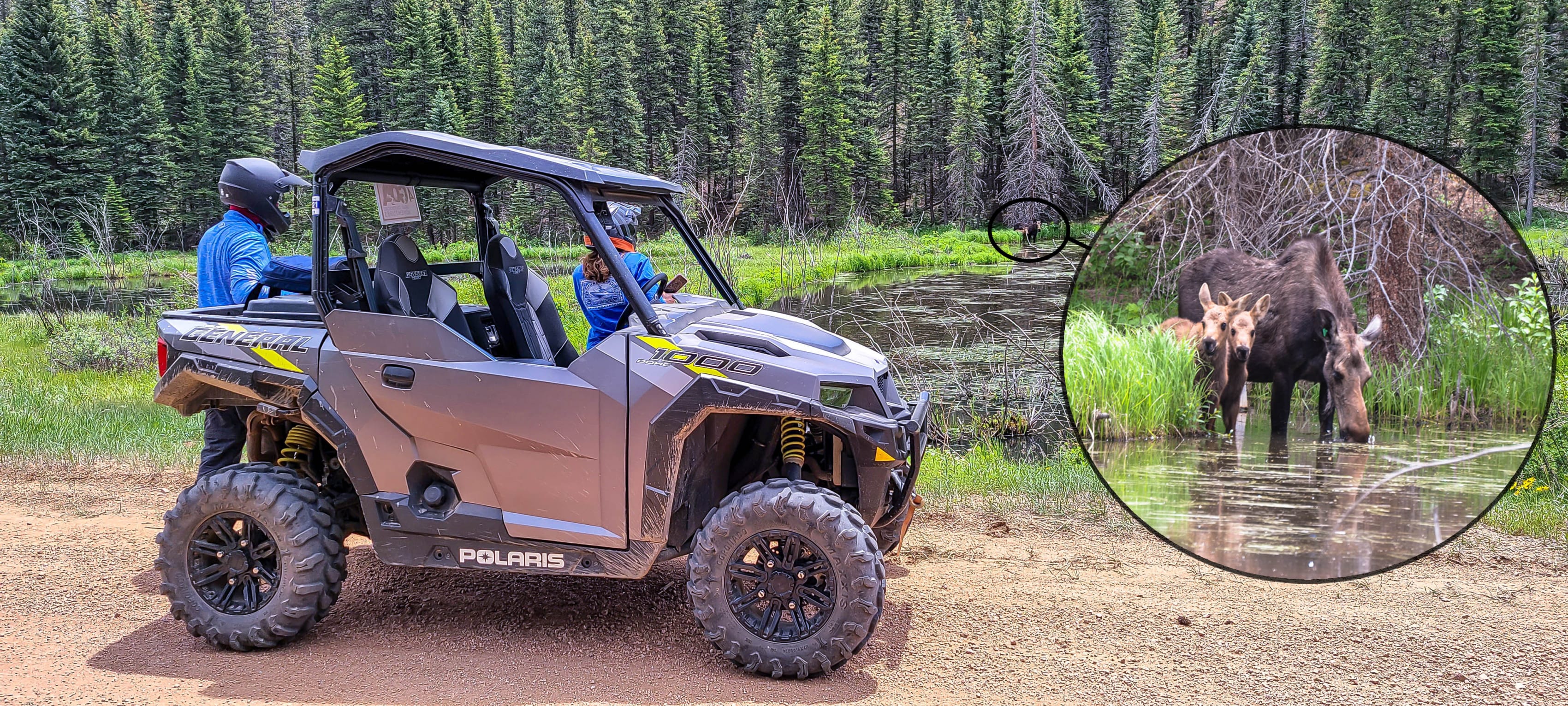 Pikes Peak National forest