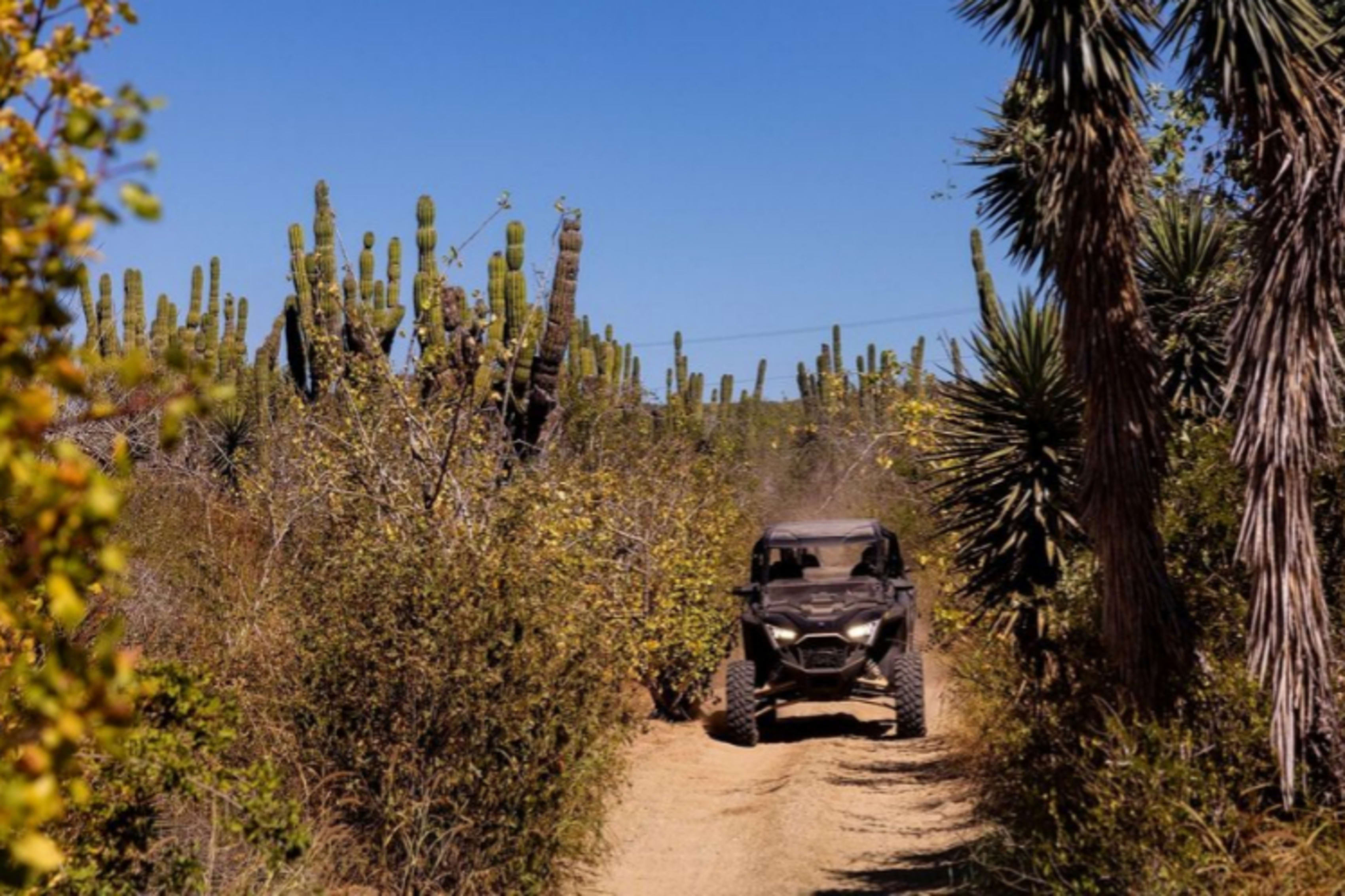 Desert trail in Baja, Mexico