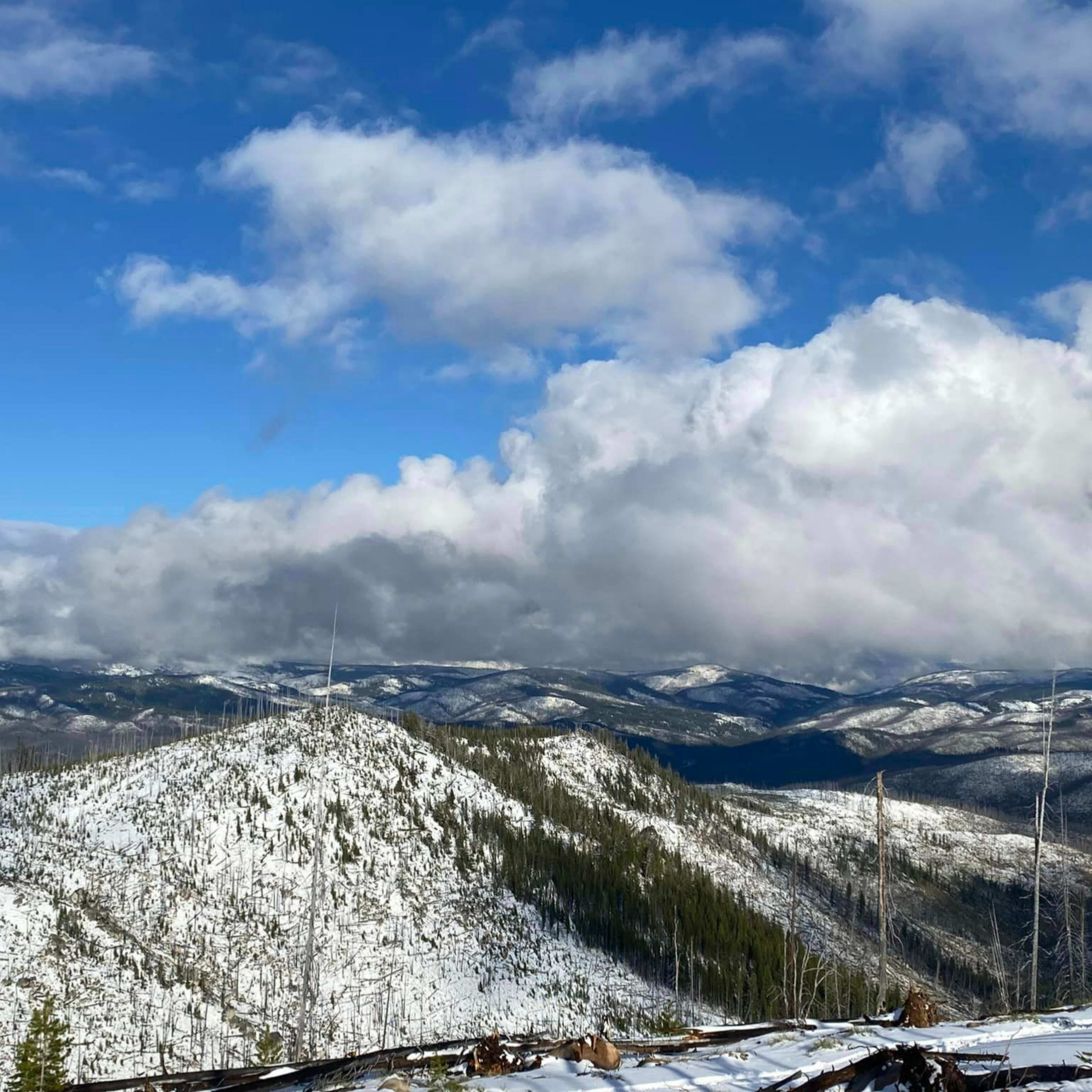 Mountain Meadow Adventure Rentals - Wallace