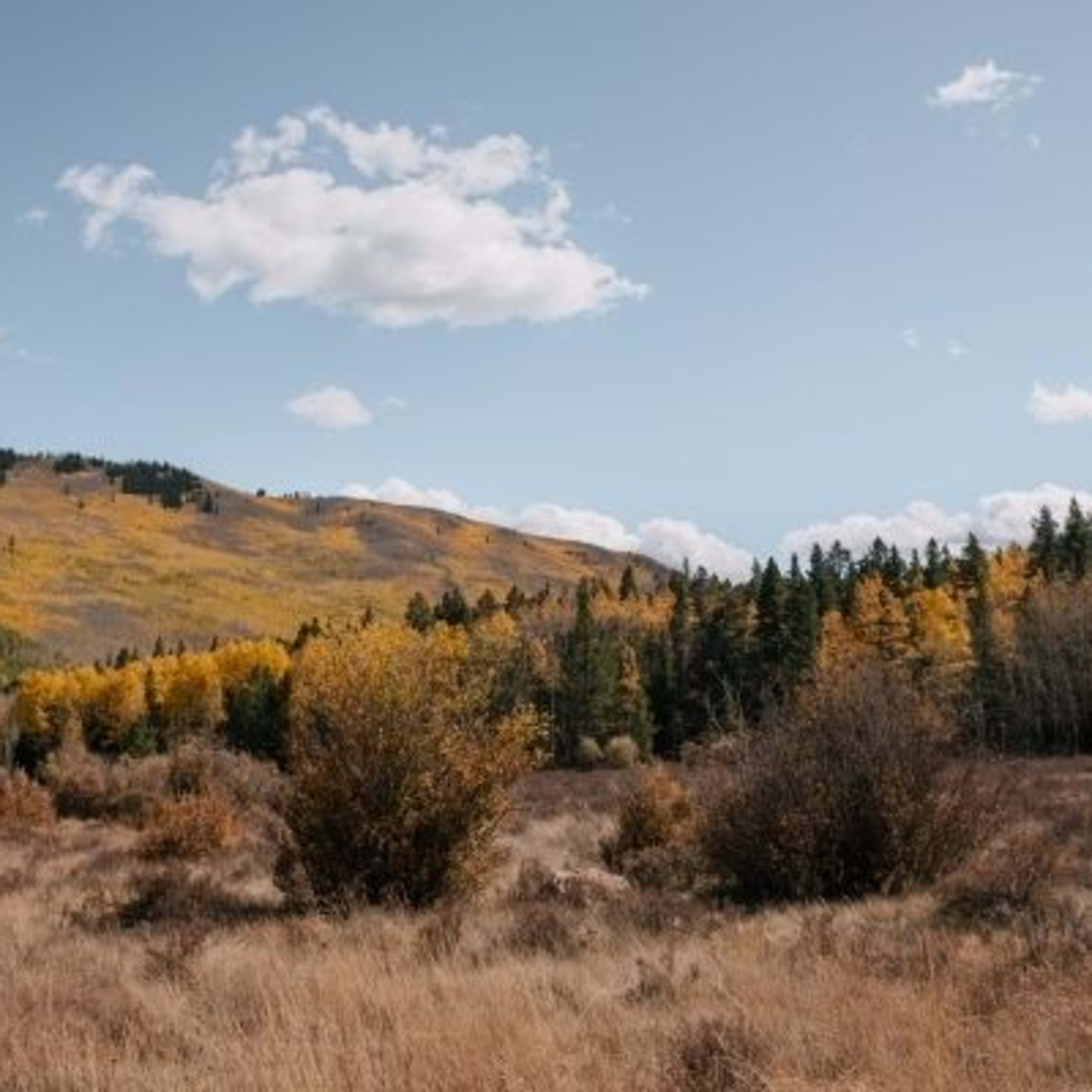 Silver Plume Rentals