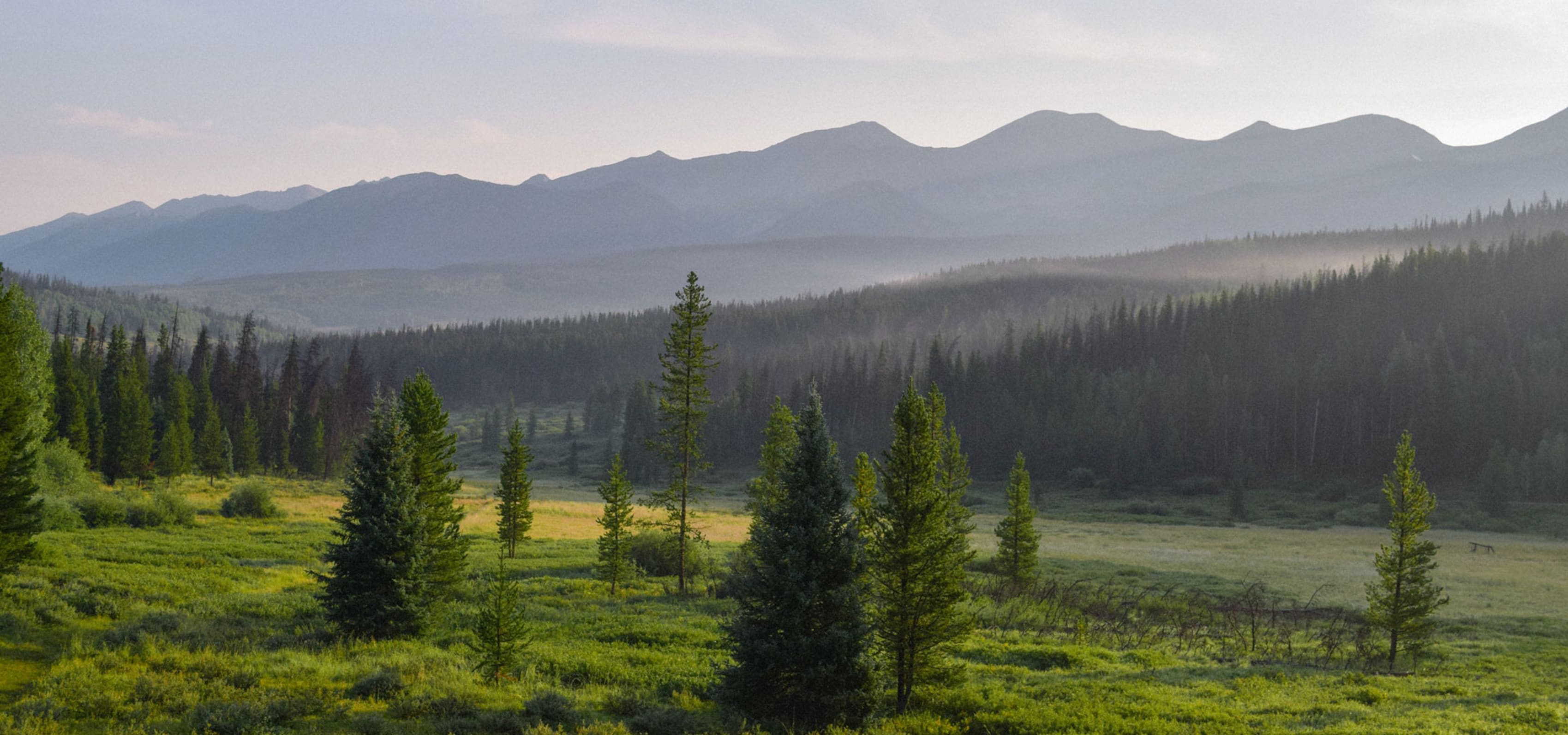 Trees and hills in Colorado
