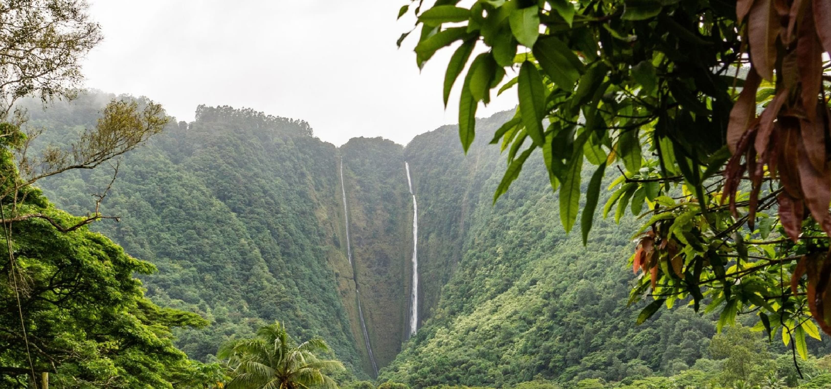 Hawaiin waterfall