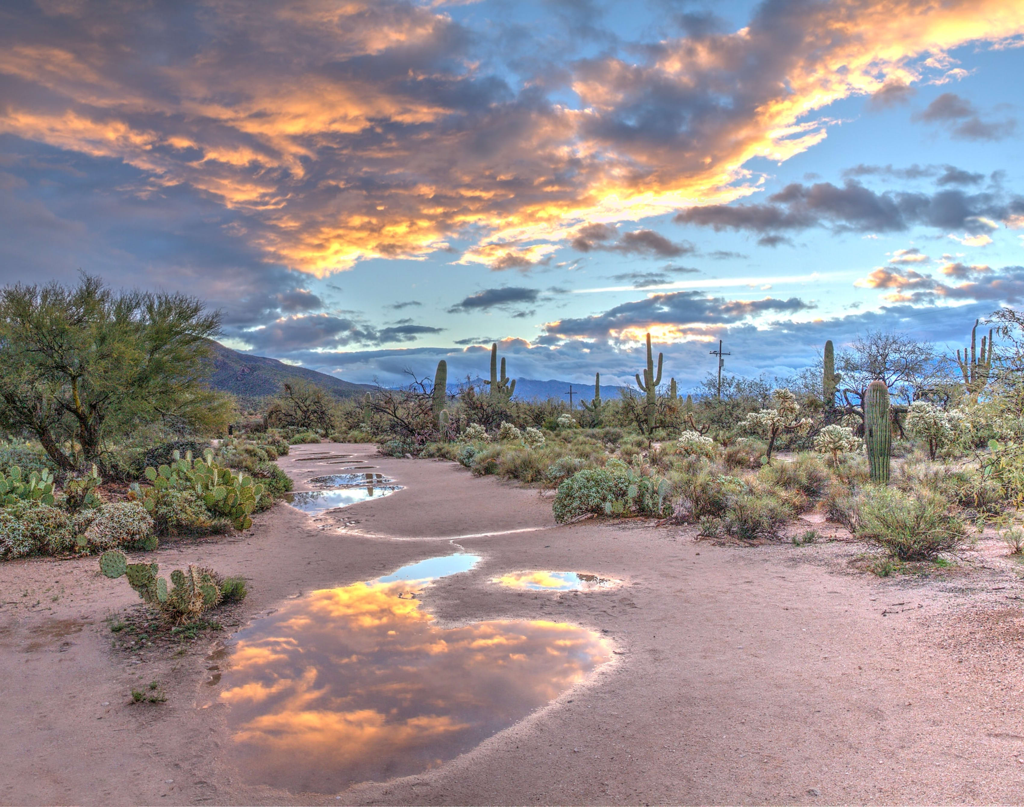 New River Off-Road Rentals