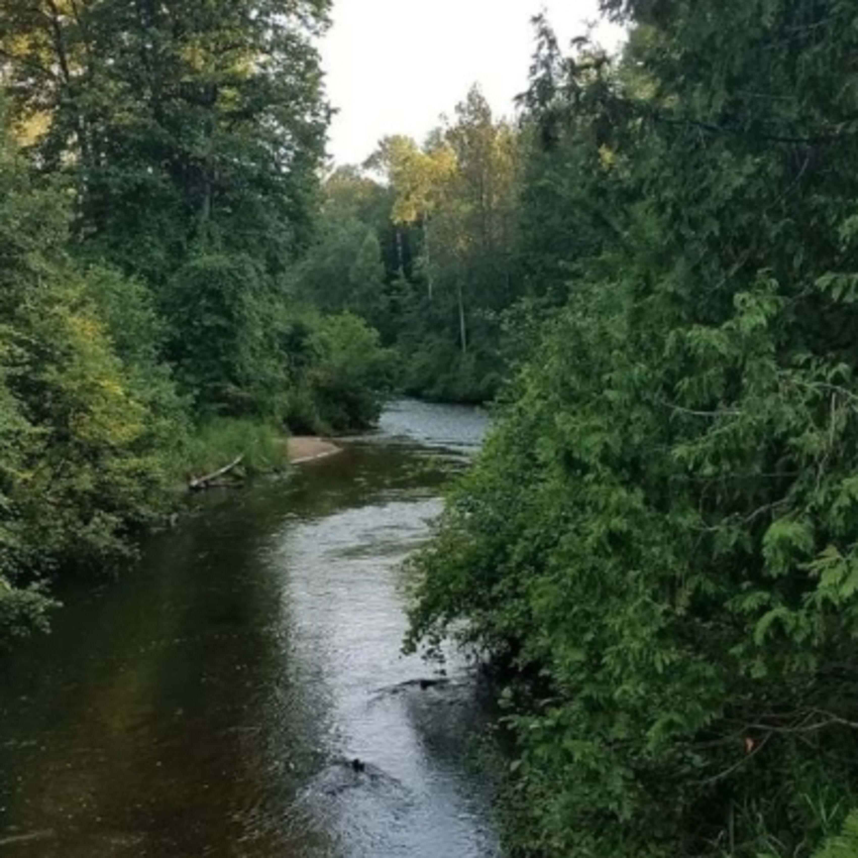 Best Bear Lodge & Campground