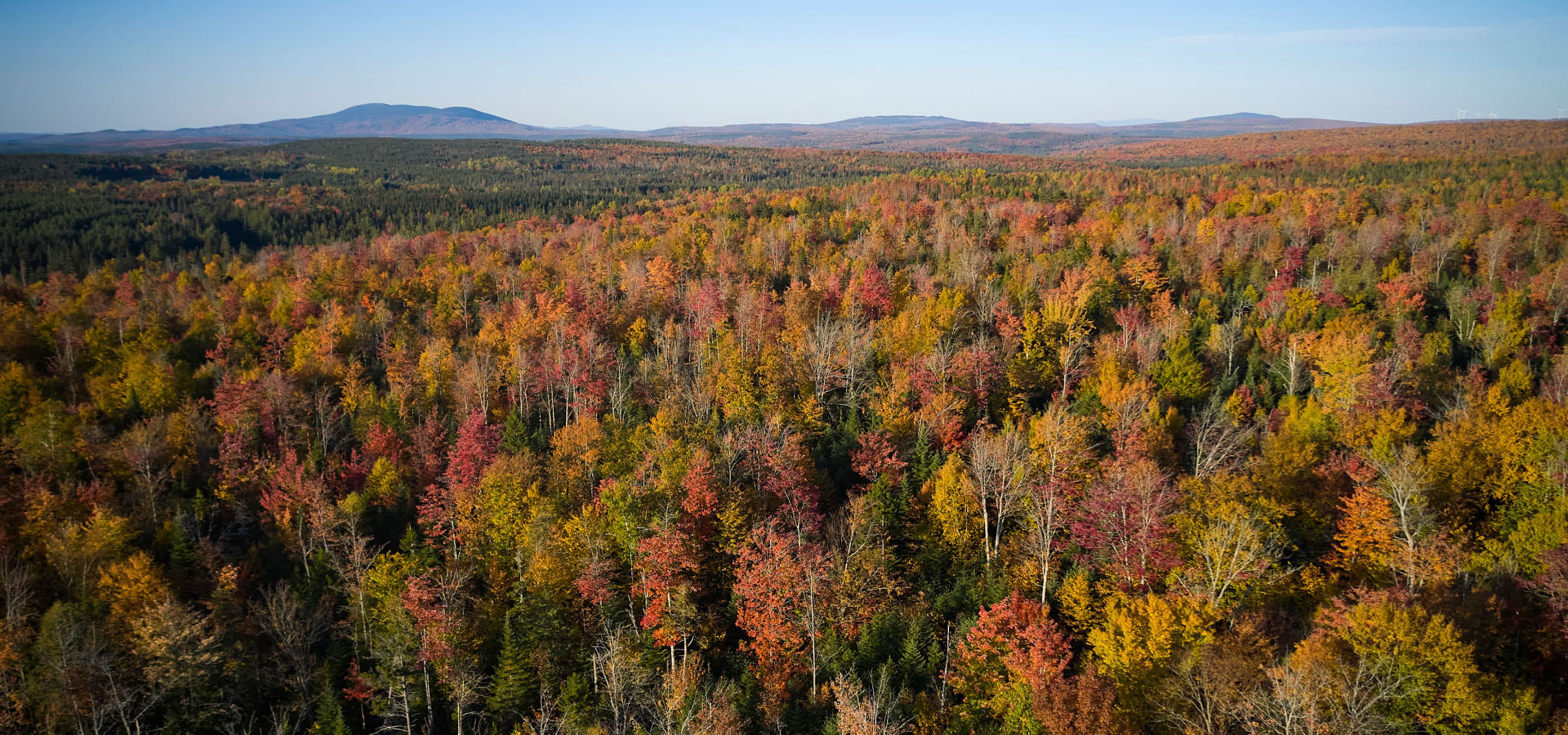 Pocono Mountains  in the fall