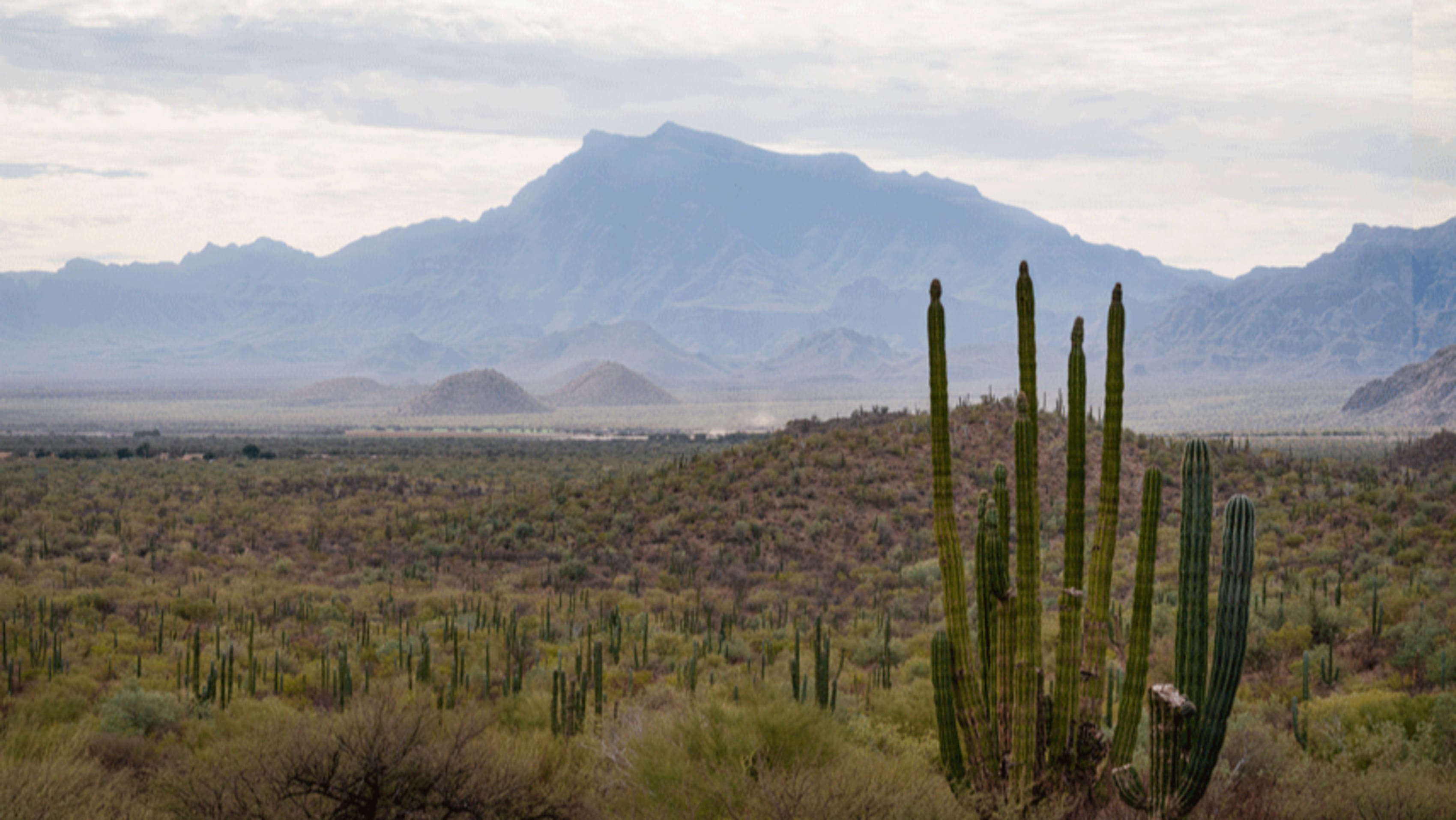 Gorgeous Mexican desert with mountains in background