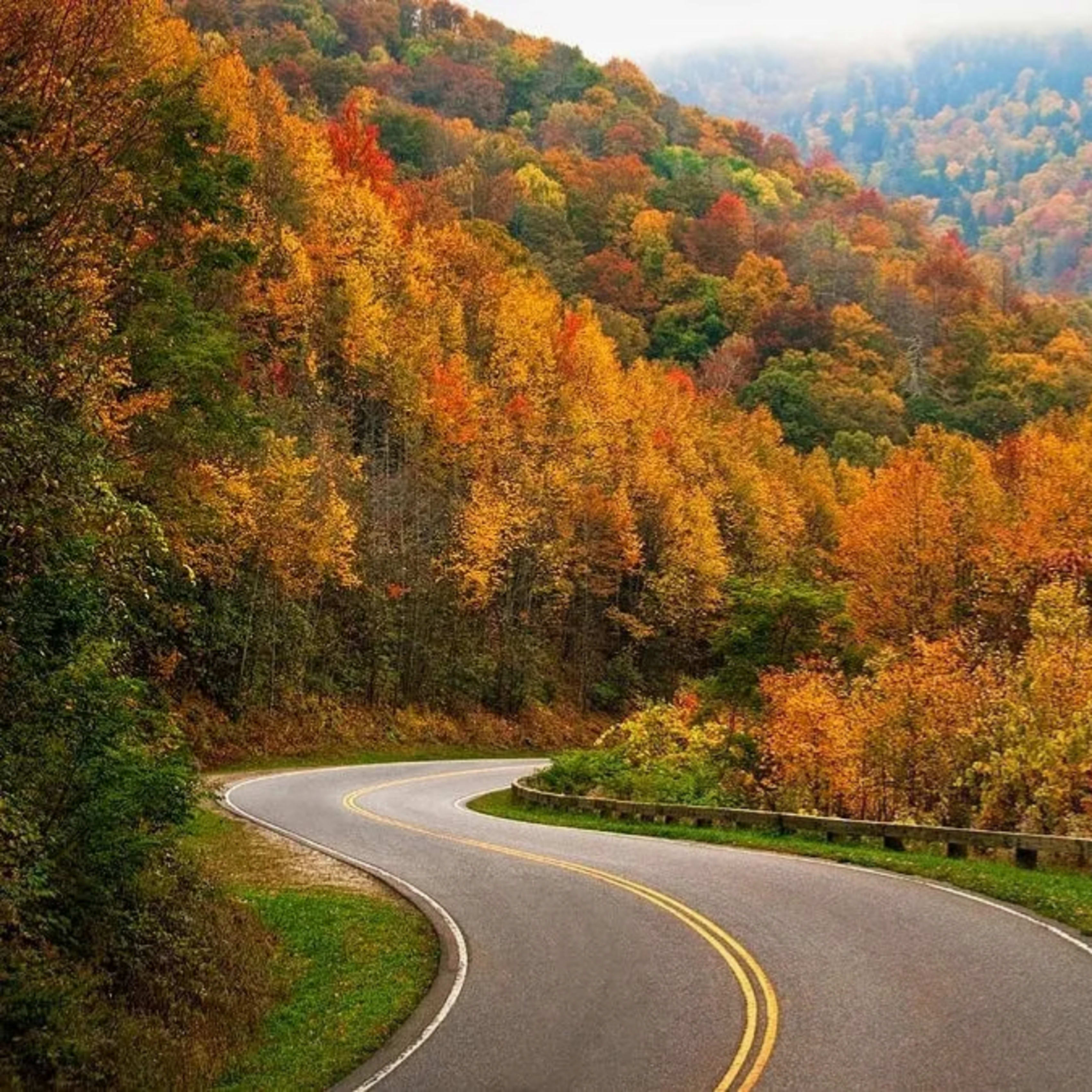 Appalachian Adventure Rentals
