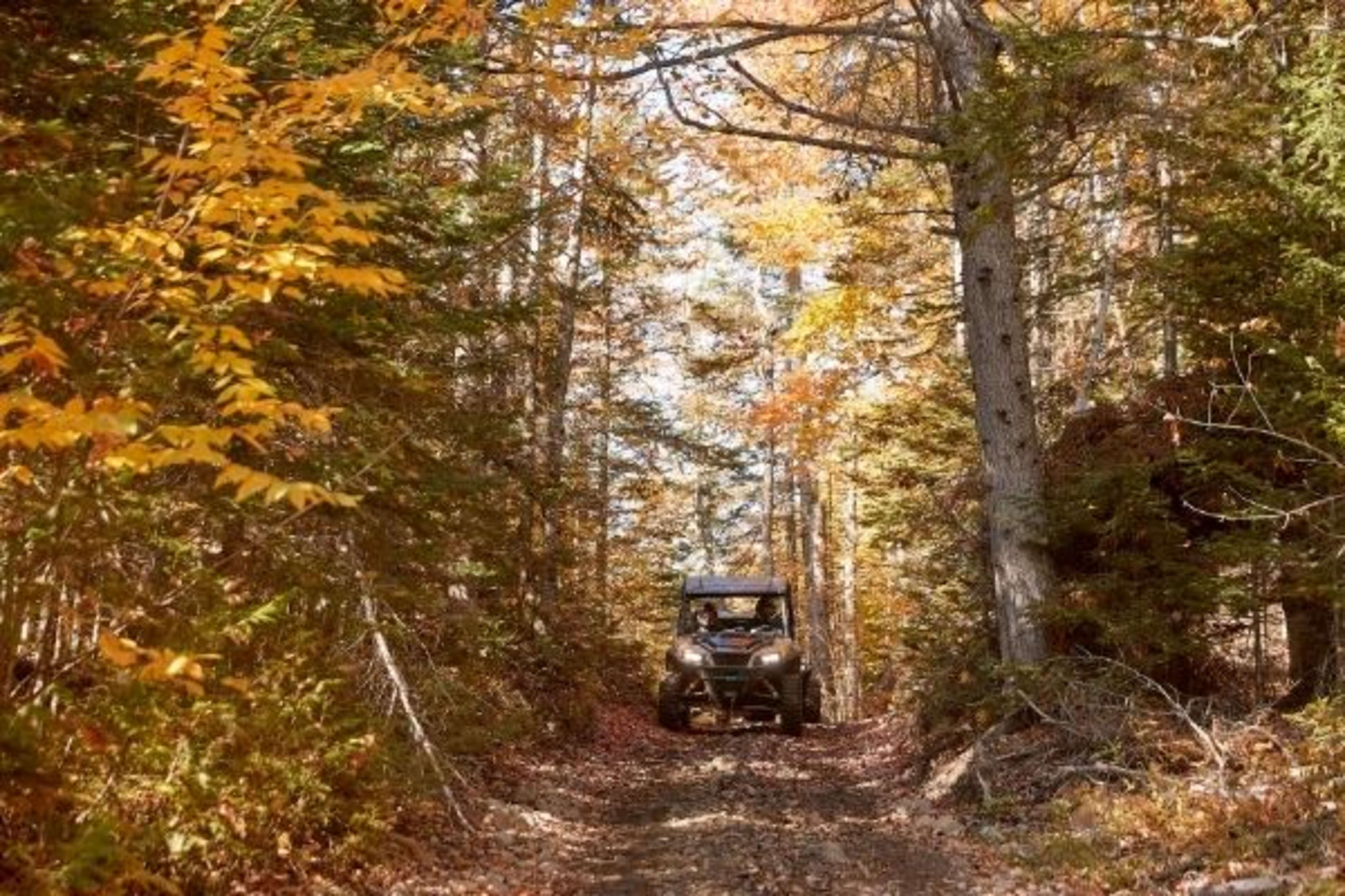 Polaris ORV in Illinois woods