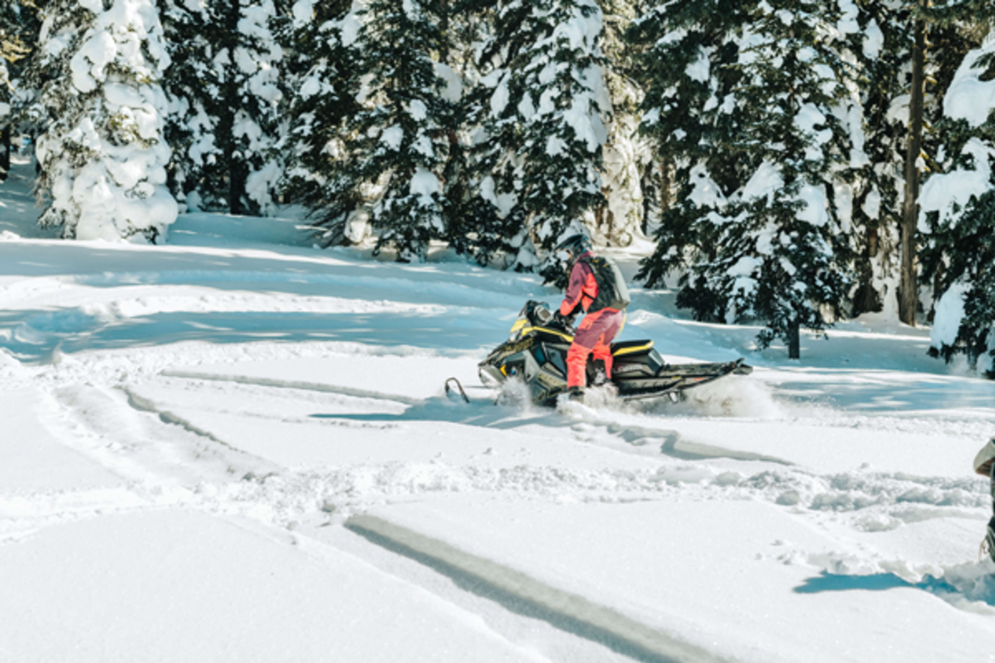 Snowmobiler in Idaho