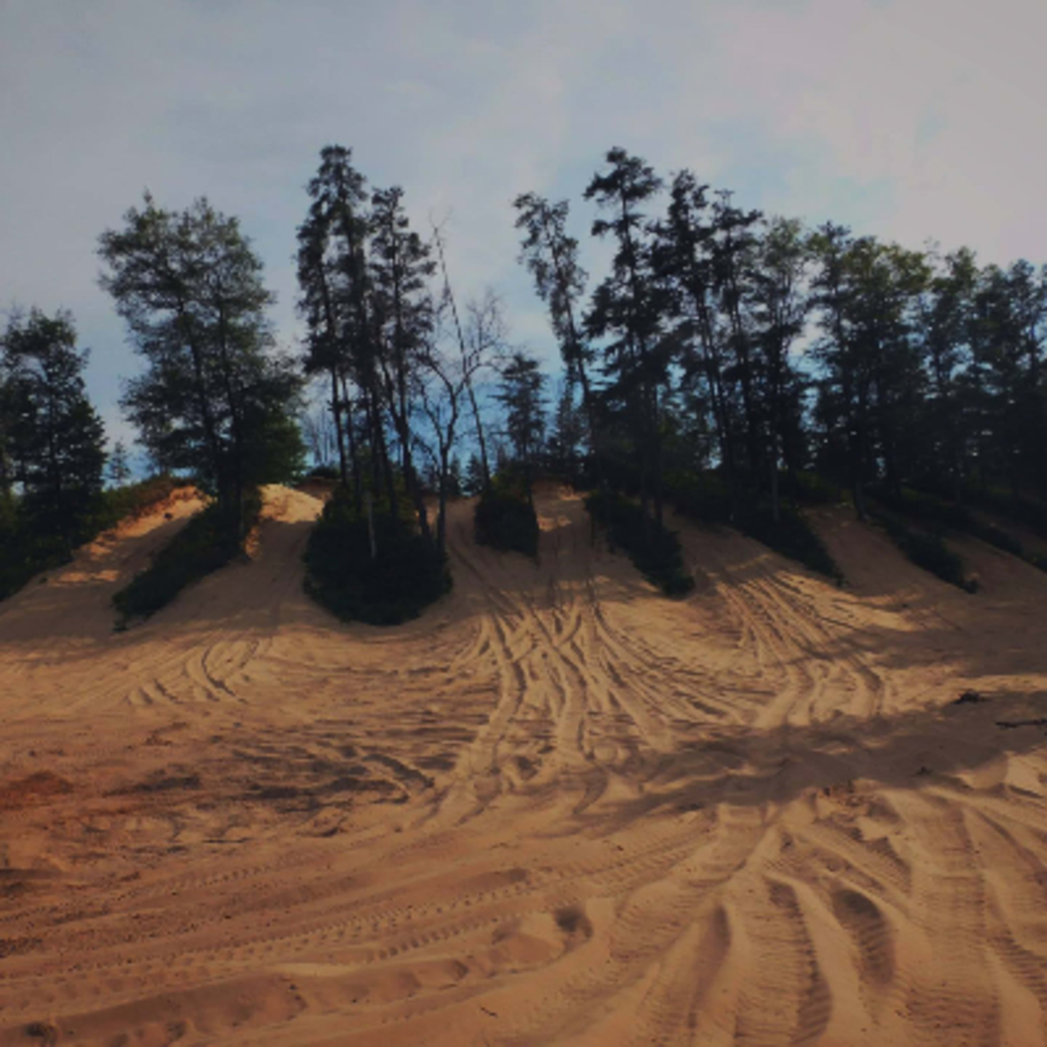 RZR Ripn' Rentals - St. Helen
