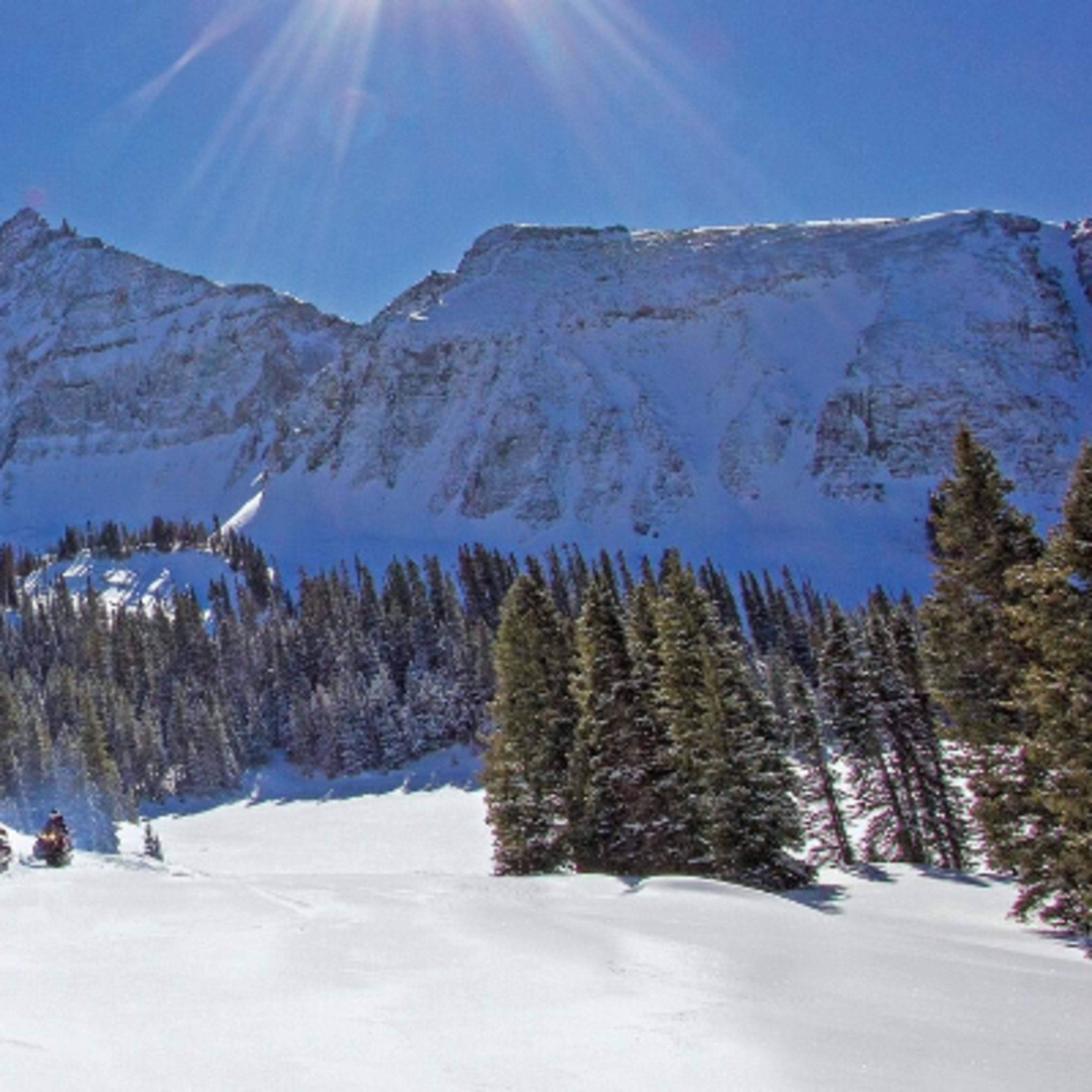 Telluride Outfitters