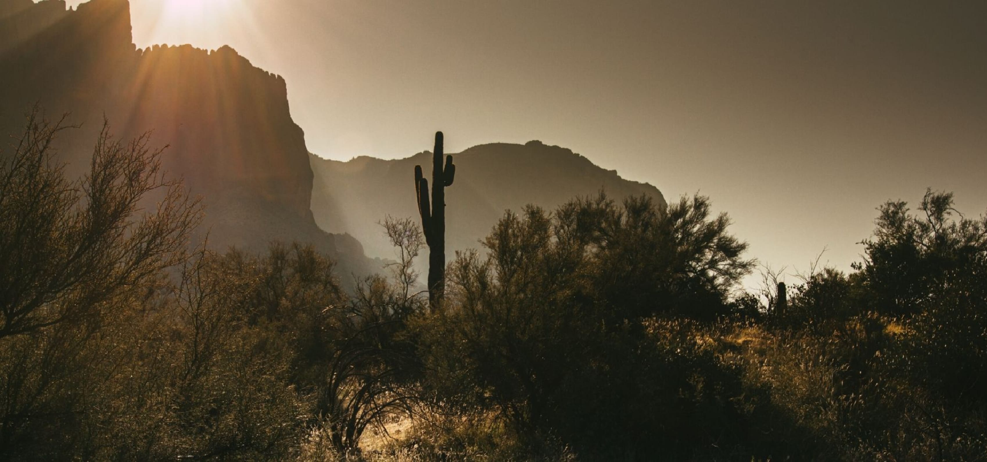Sunset desert view in Arizona
