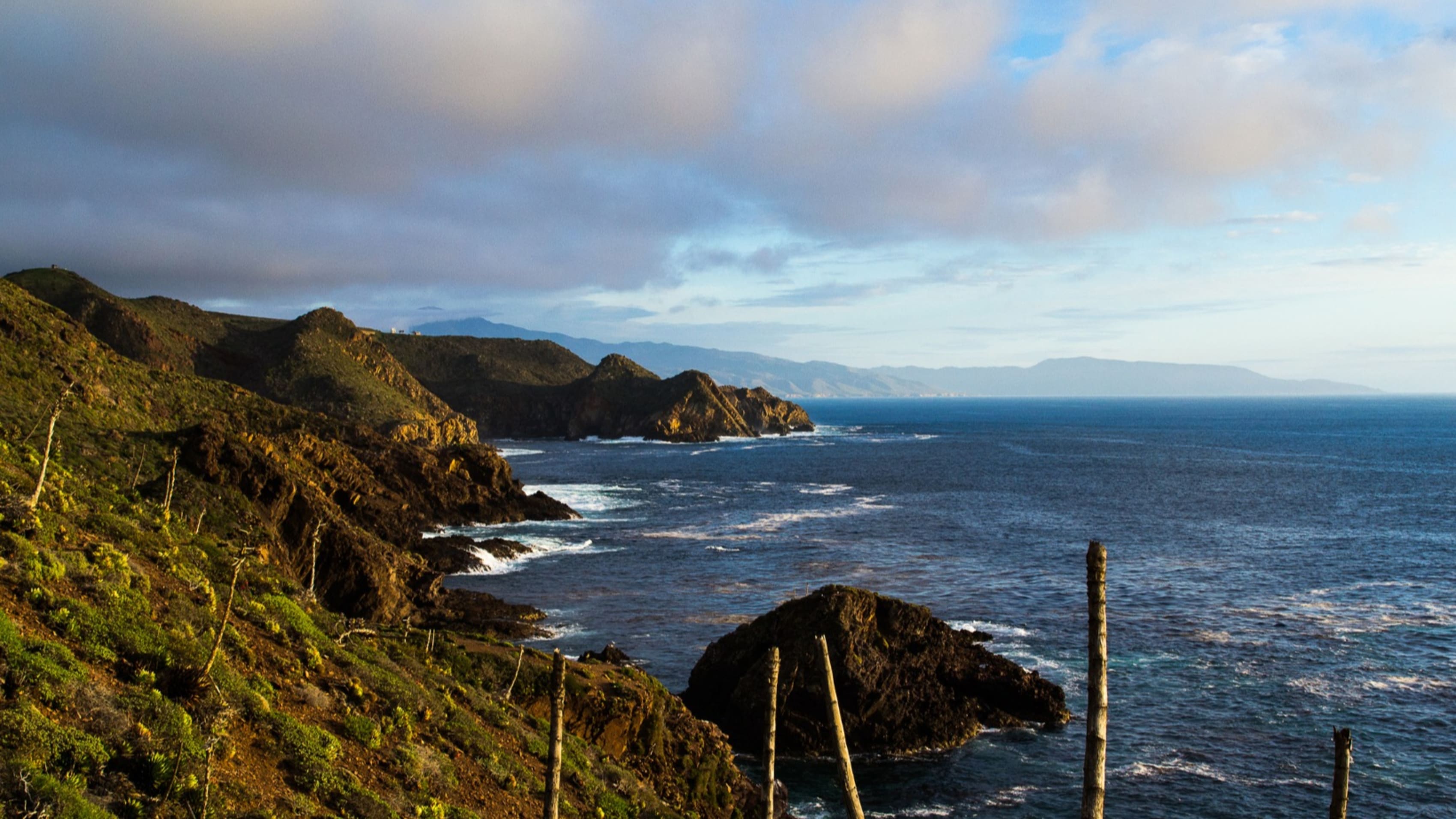 Baja Coastline UTV Tour
