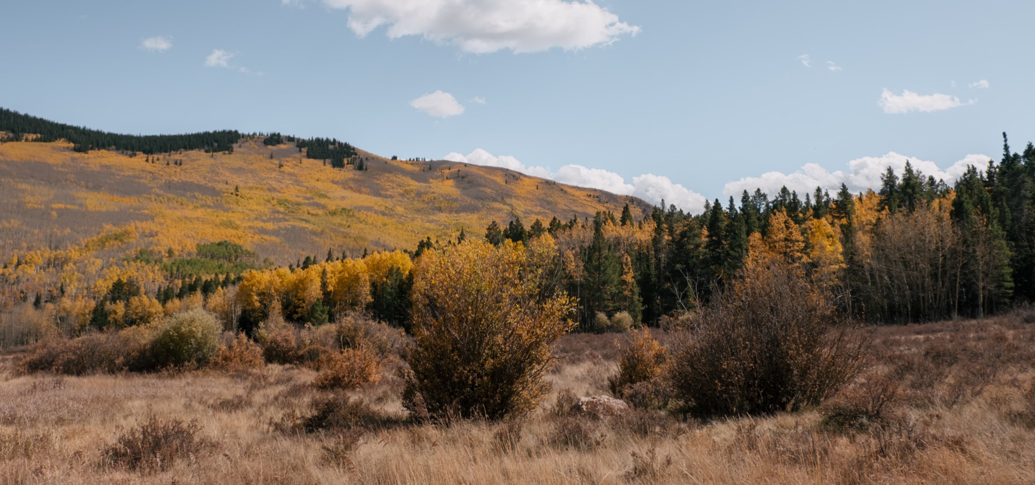 Colorado landscape near Pitkin