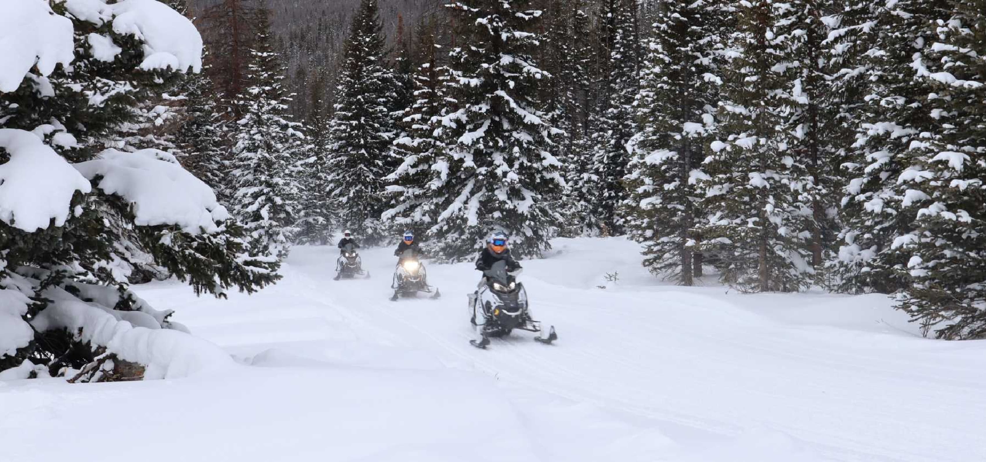Snowmobilers riding in Colorado