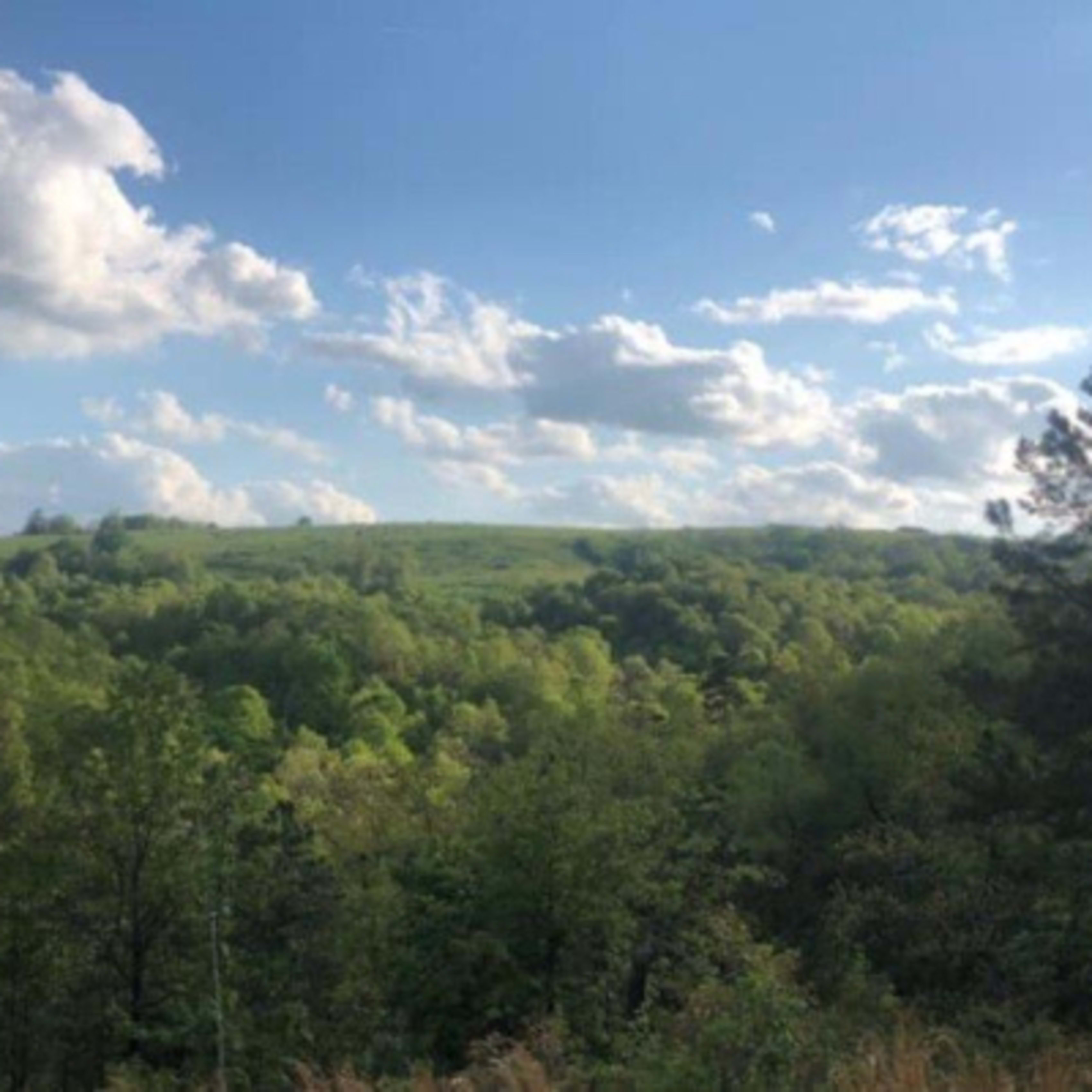 Eureka Springs Adventure Park