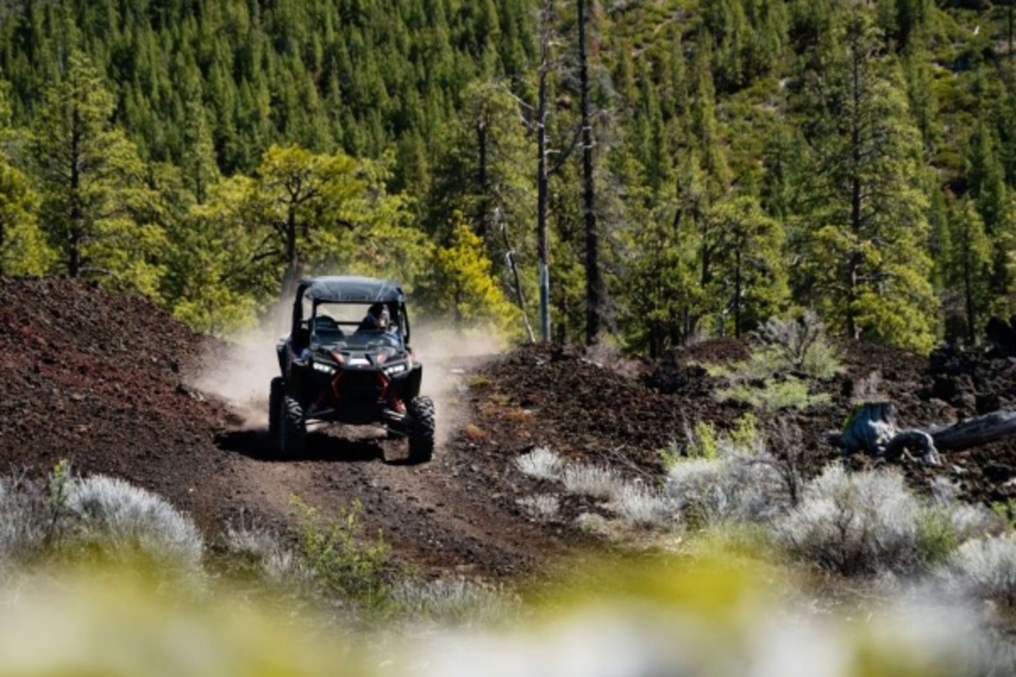 Polaris RZR in Oregon