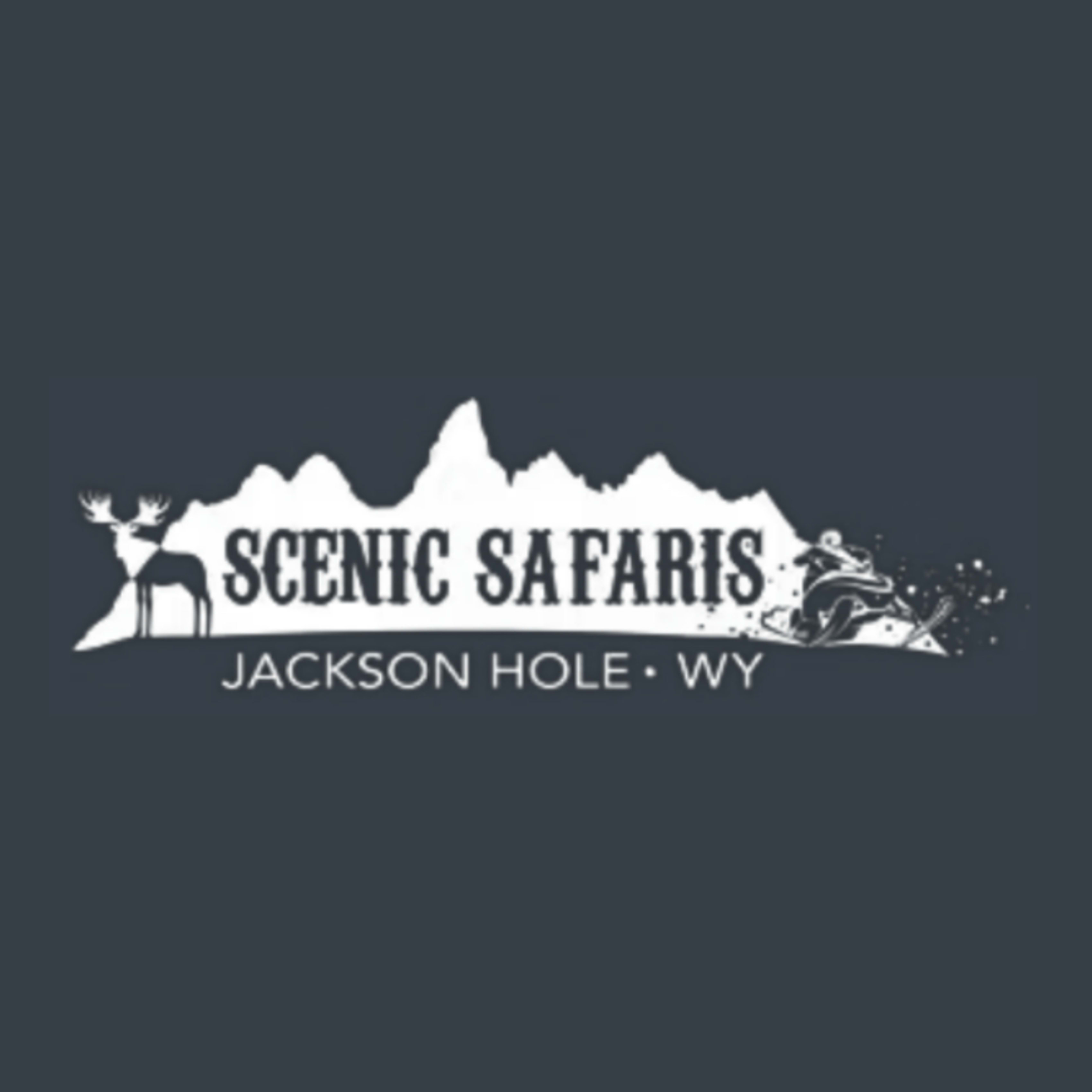 Scenic Safaris logo
