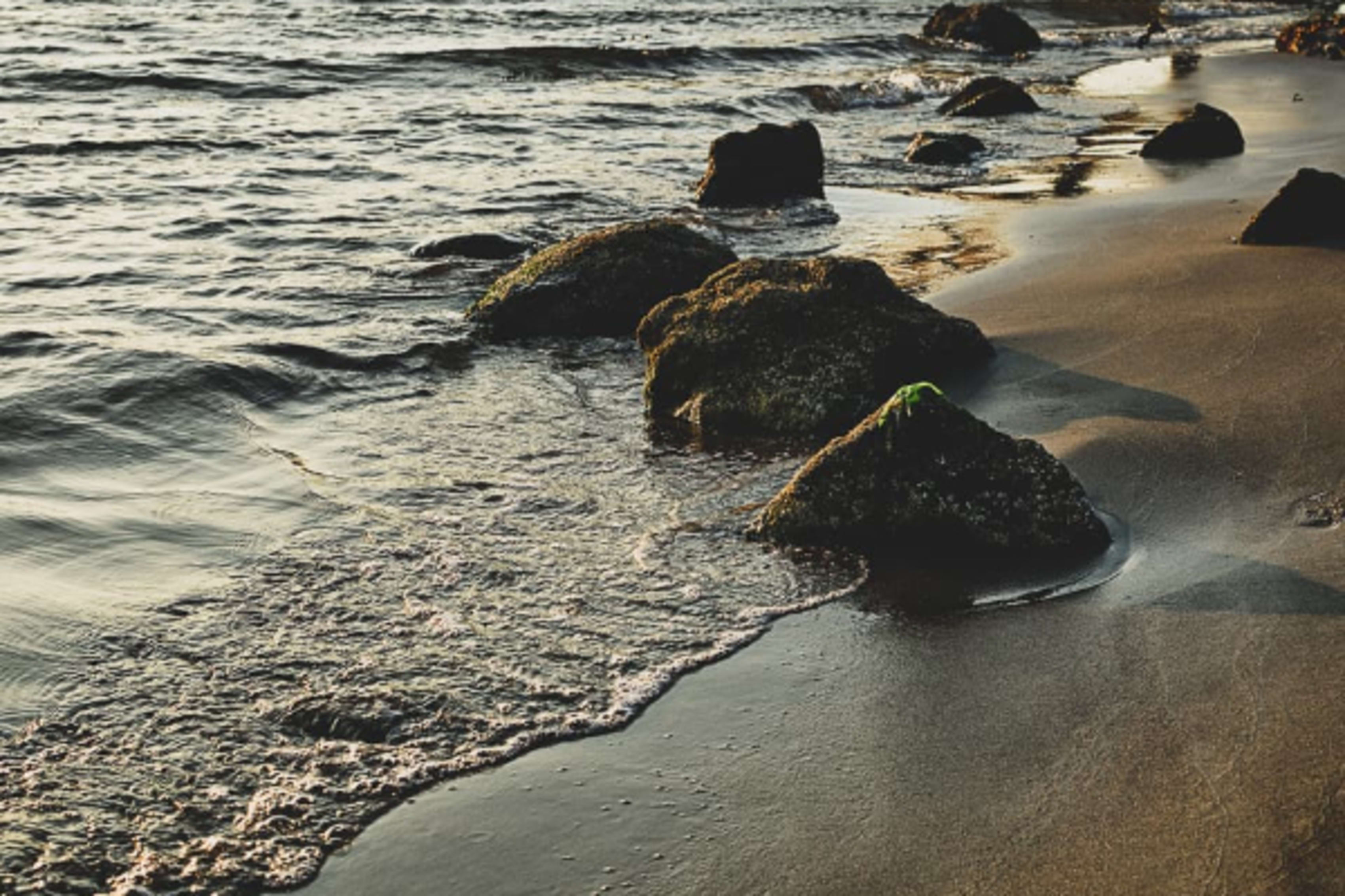 Oregon beach shot