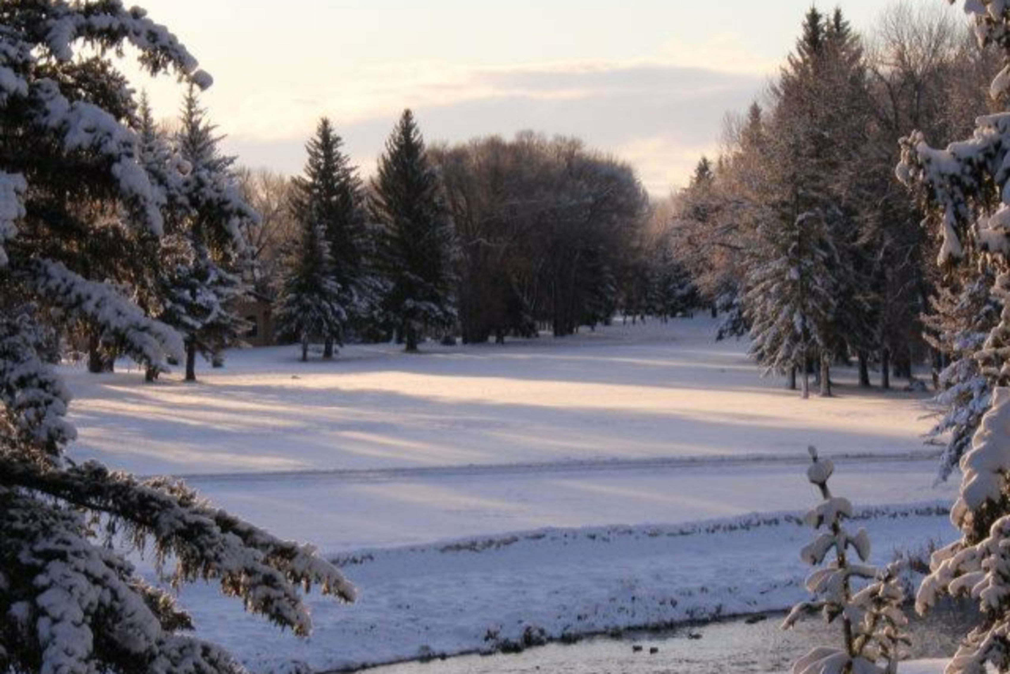 Winter scene in Wyoming