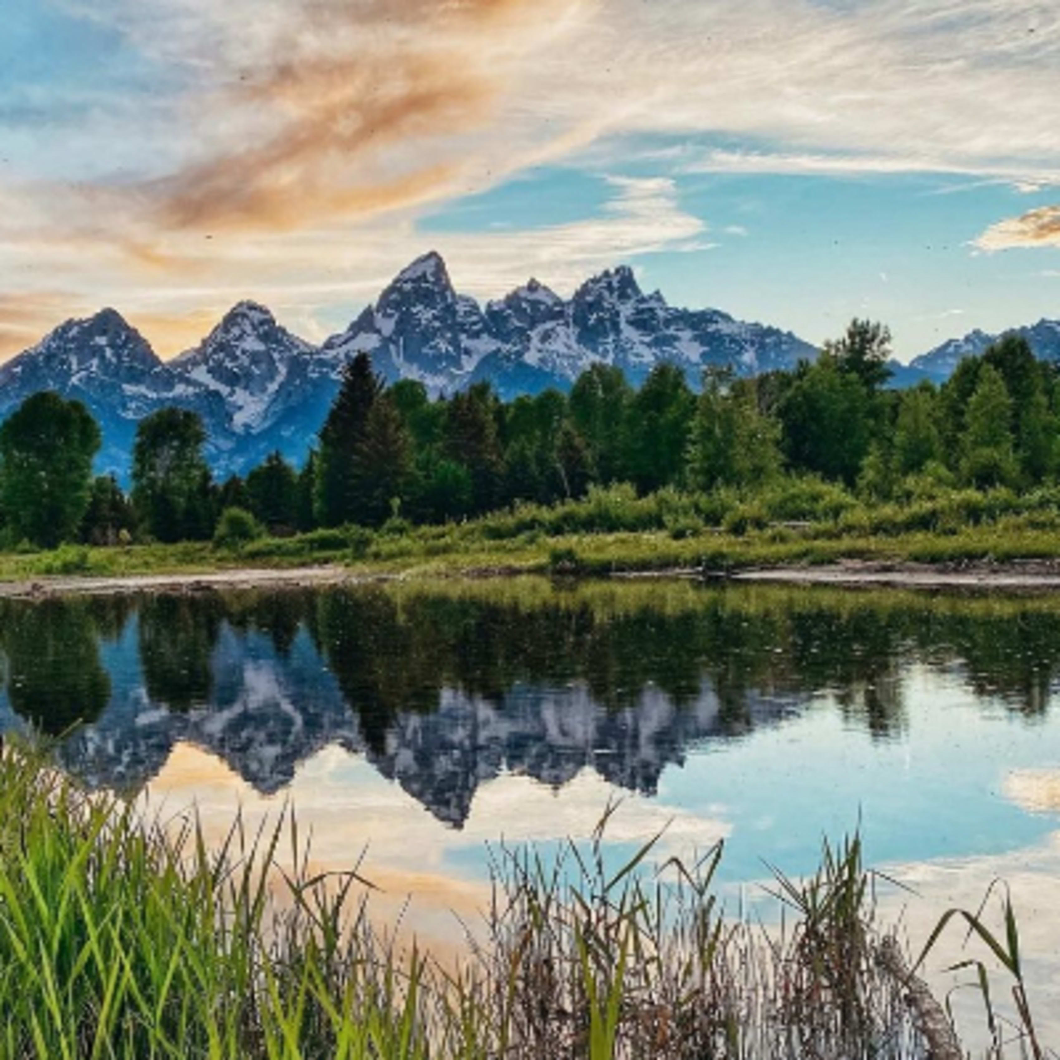 Scenic Safaris
