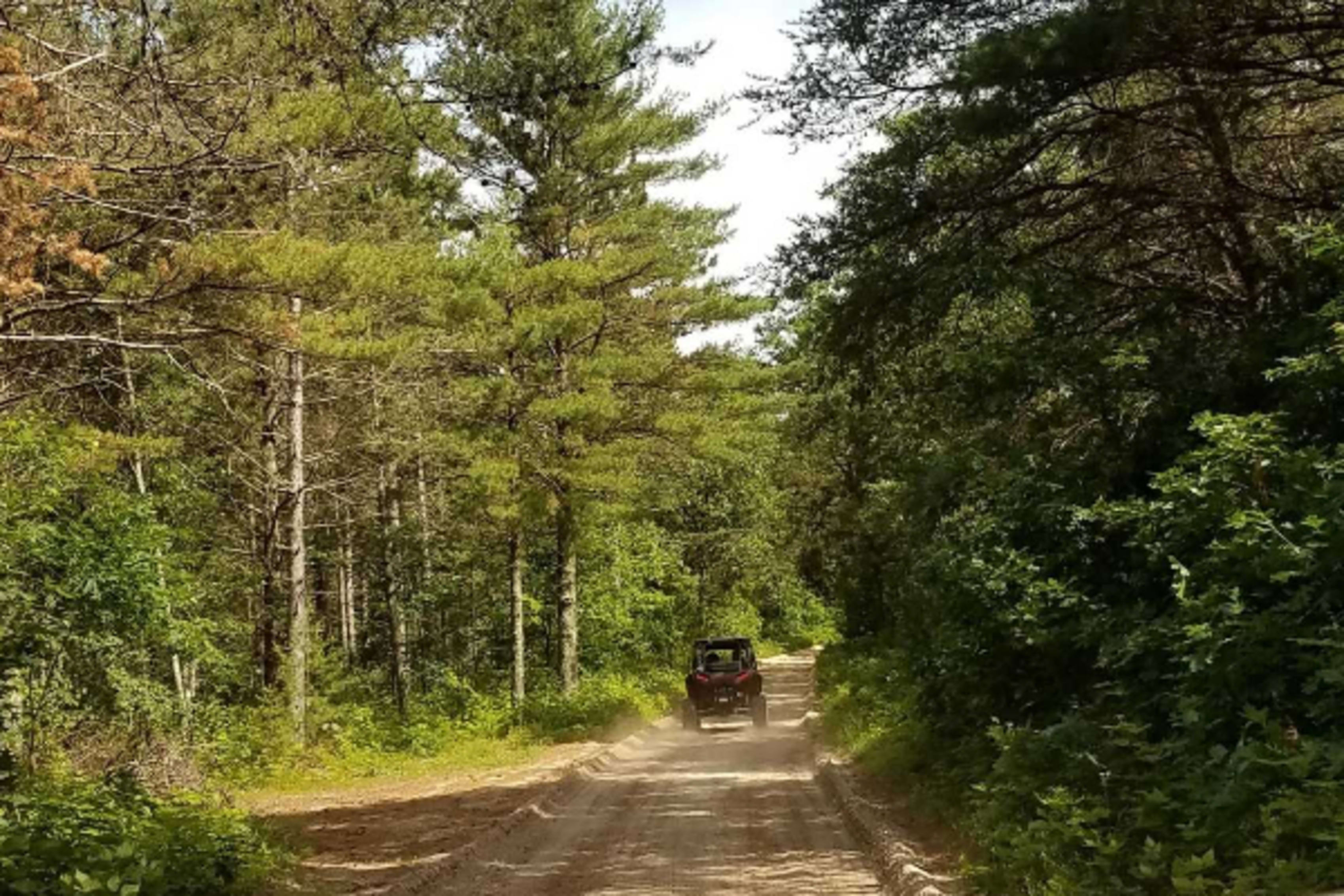 Dirt trail at Bear Bogging Adventure Tours