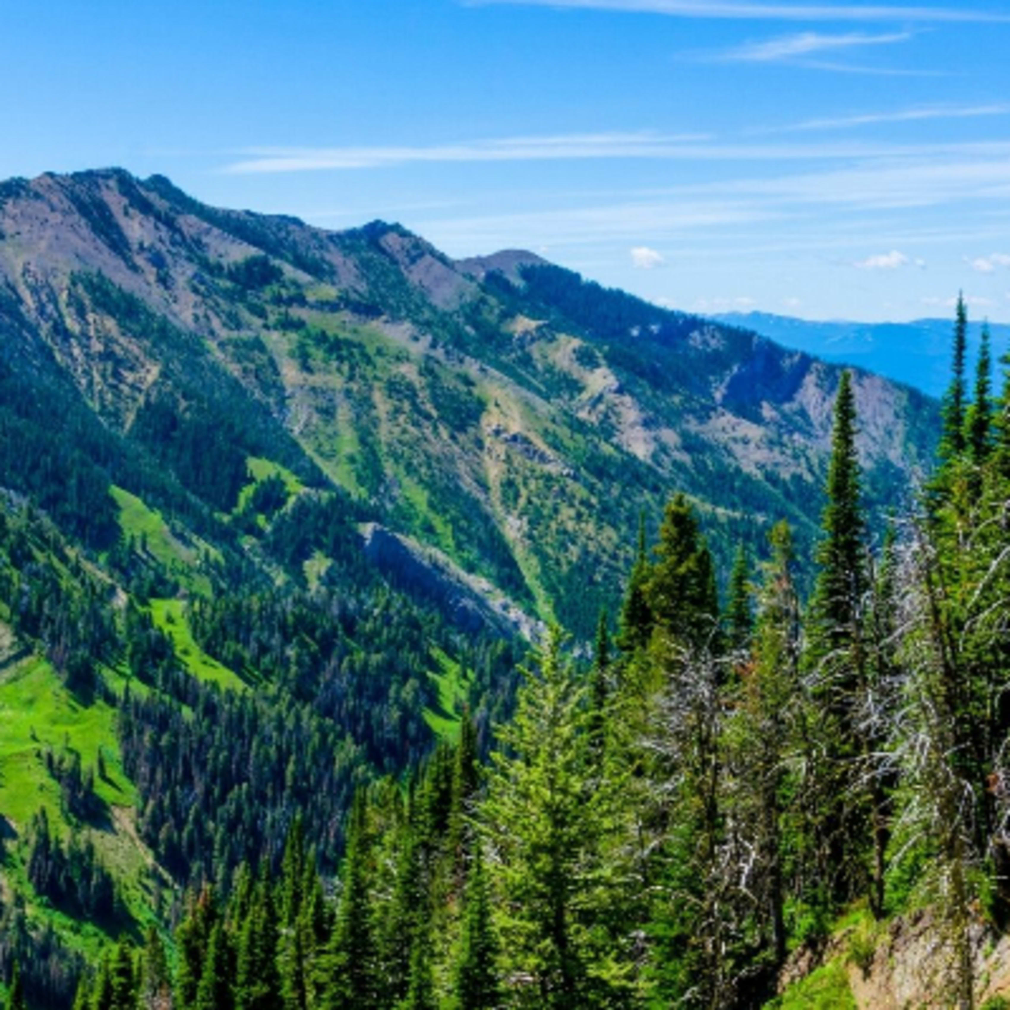 Summit All Terrain Rentals - Bozeman