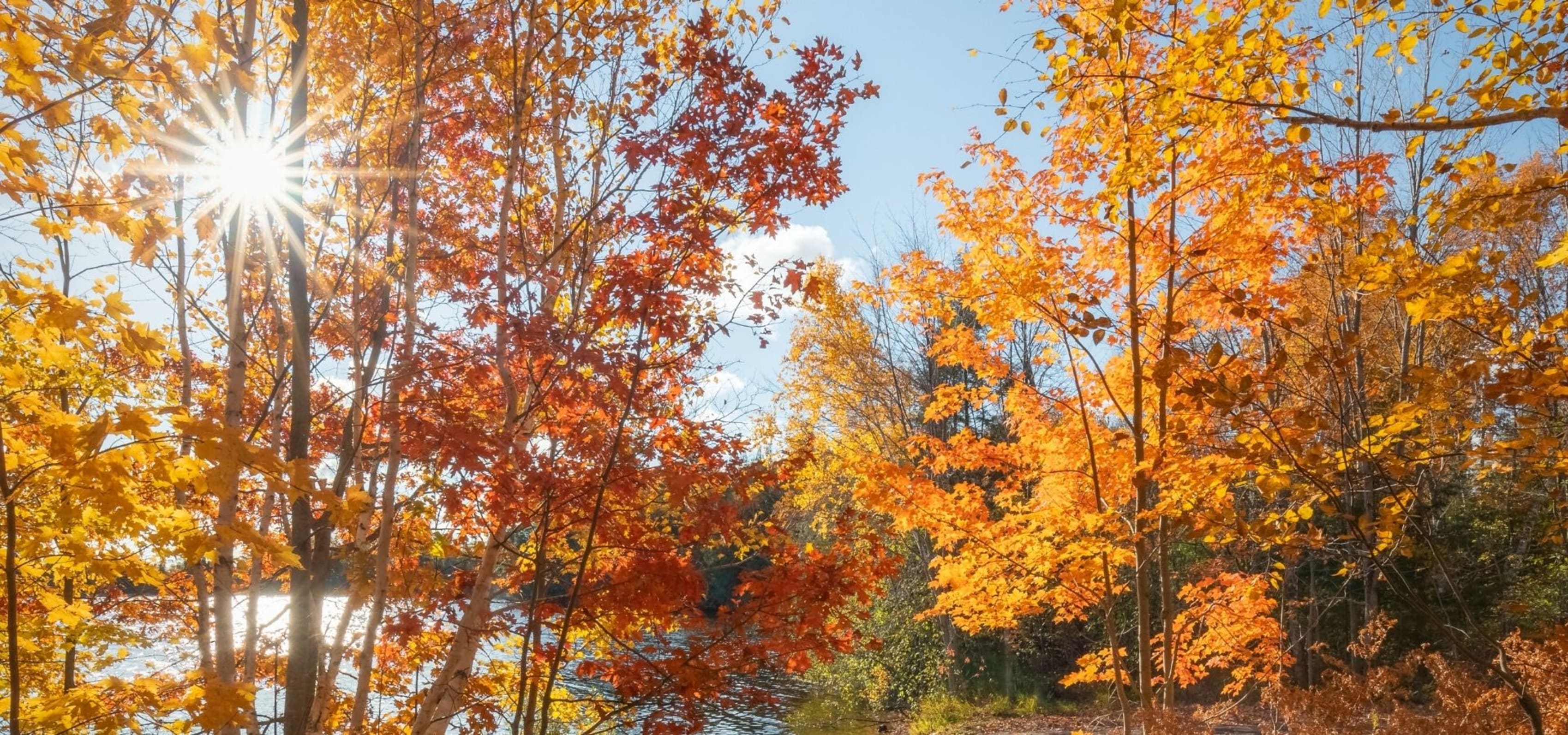 Off Road Rentals Hayward Wisconsin Polaris Adventures