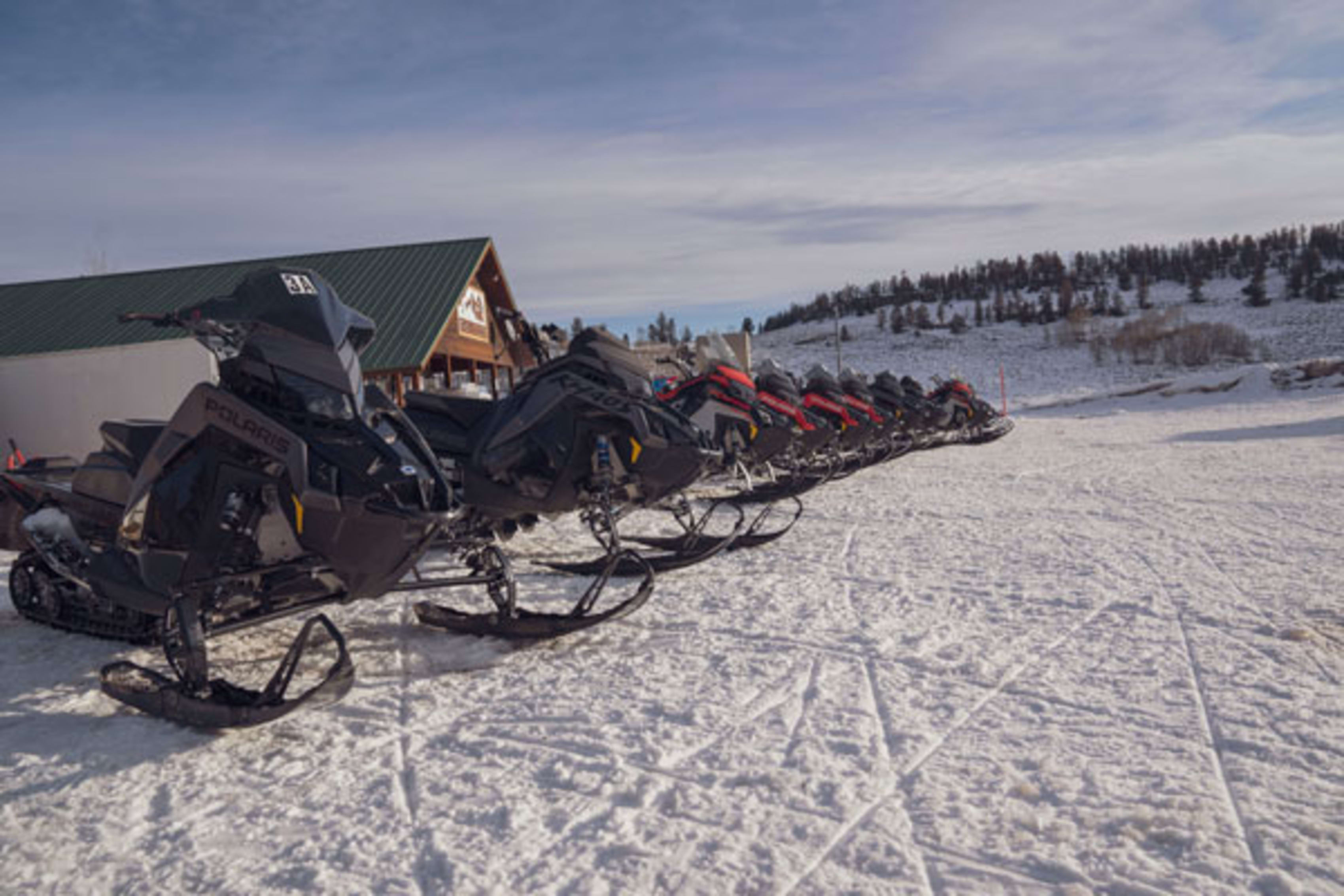 Polaris snowmobiles lined up