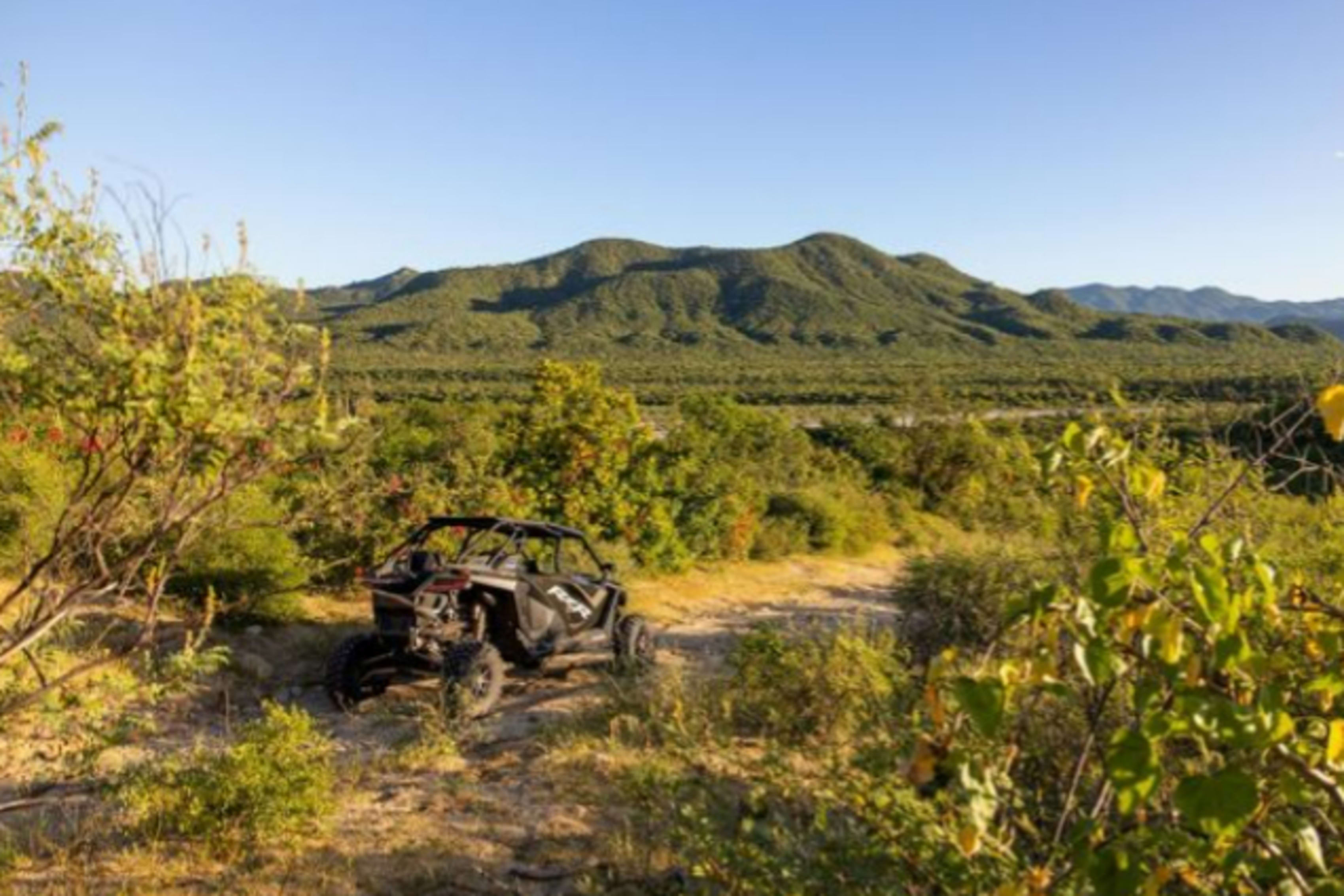 A Polaris RZR in lush desert terrain