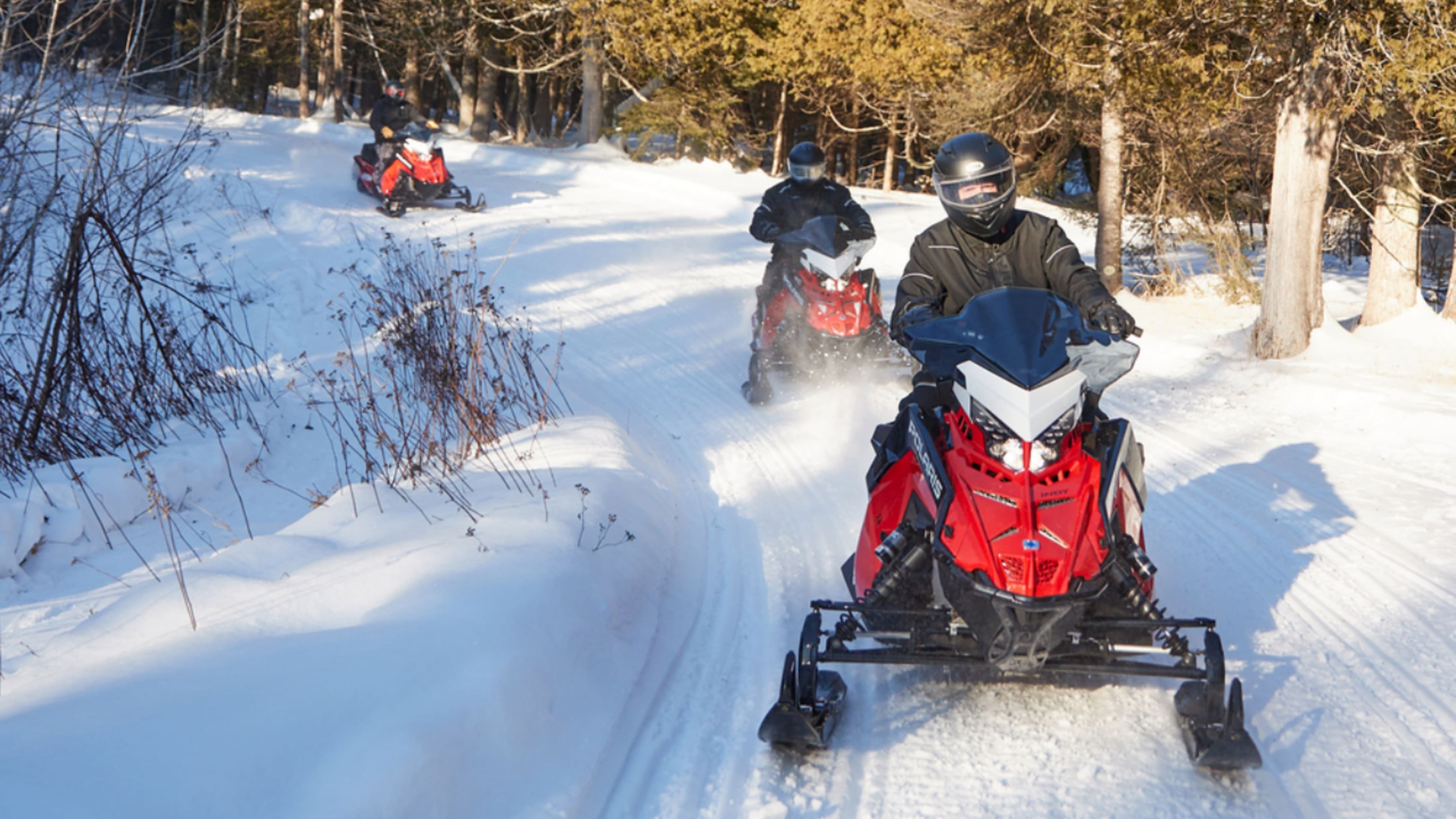 Snowmobilers on wooded trail